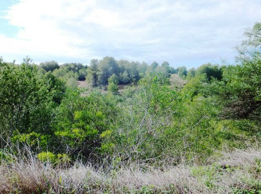 Sale - Plot/Land -
Moraira - Pinar de l´Advocat