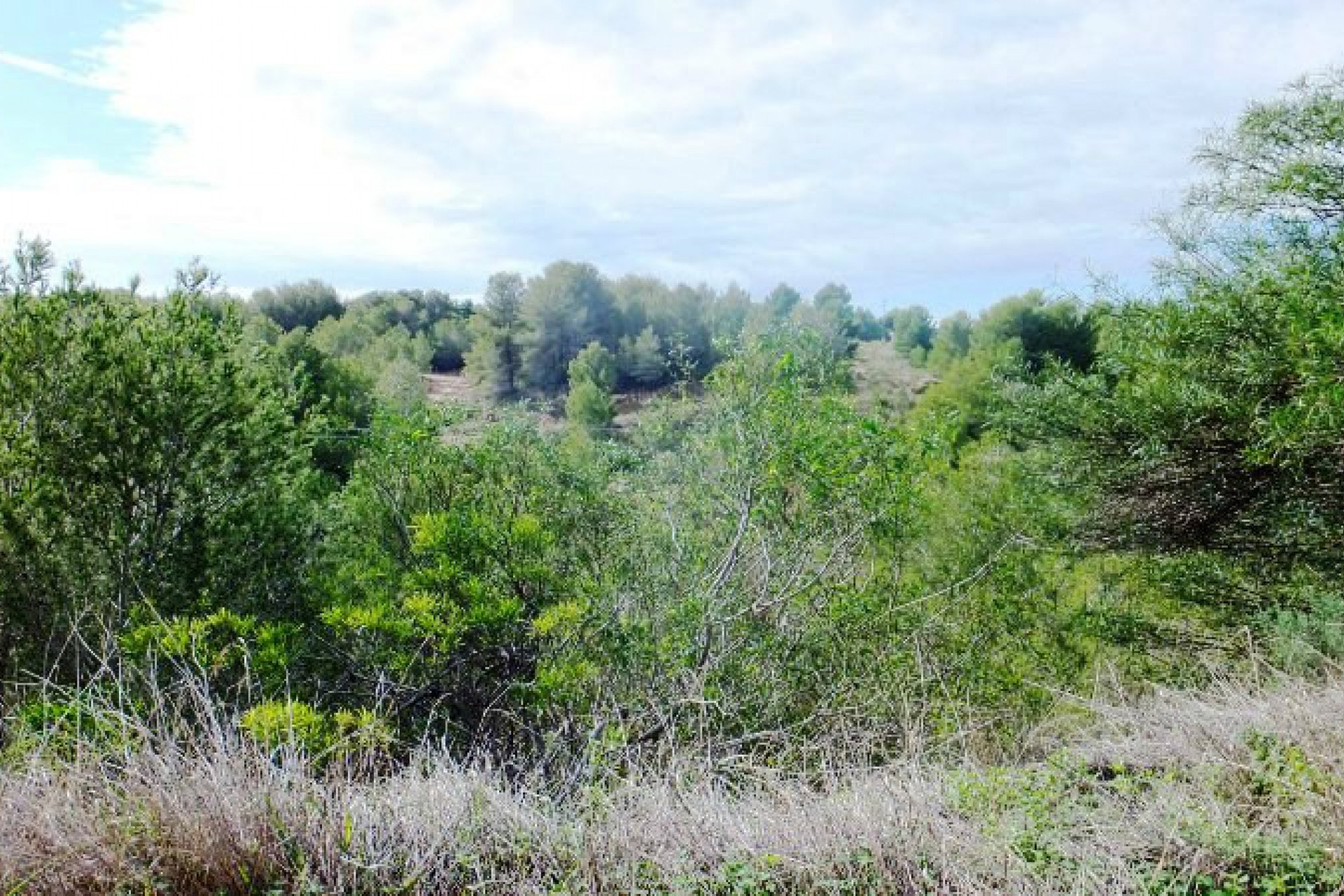 Sale - Plot/Land -
Moraira - Pinar de l´Advocat