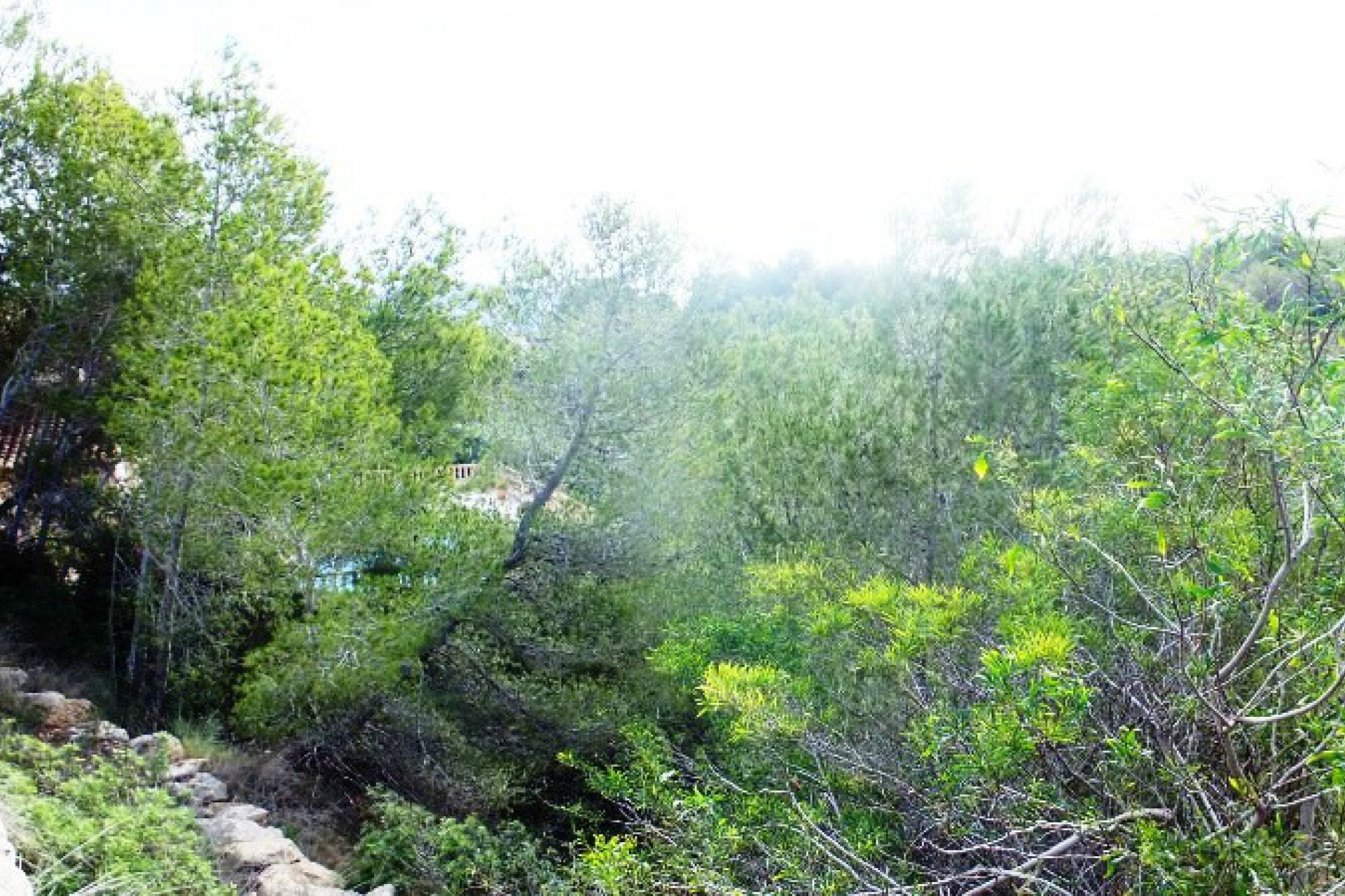 Sale - Plot/Land -
Moraira - Pinar de l´Advocat