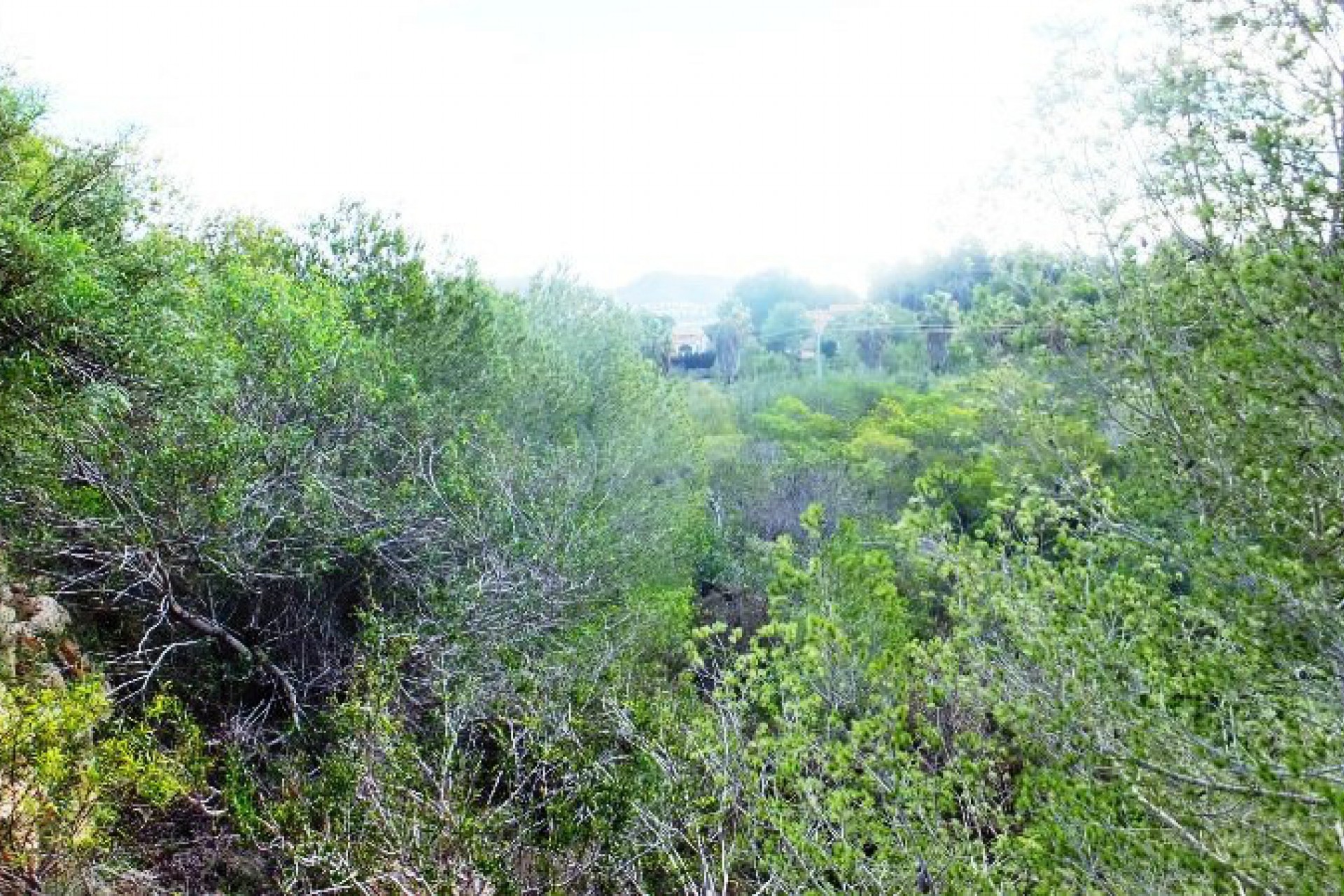 Sale - Plot/Land -
Moraira - Pinar de l´Advocat