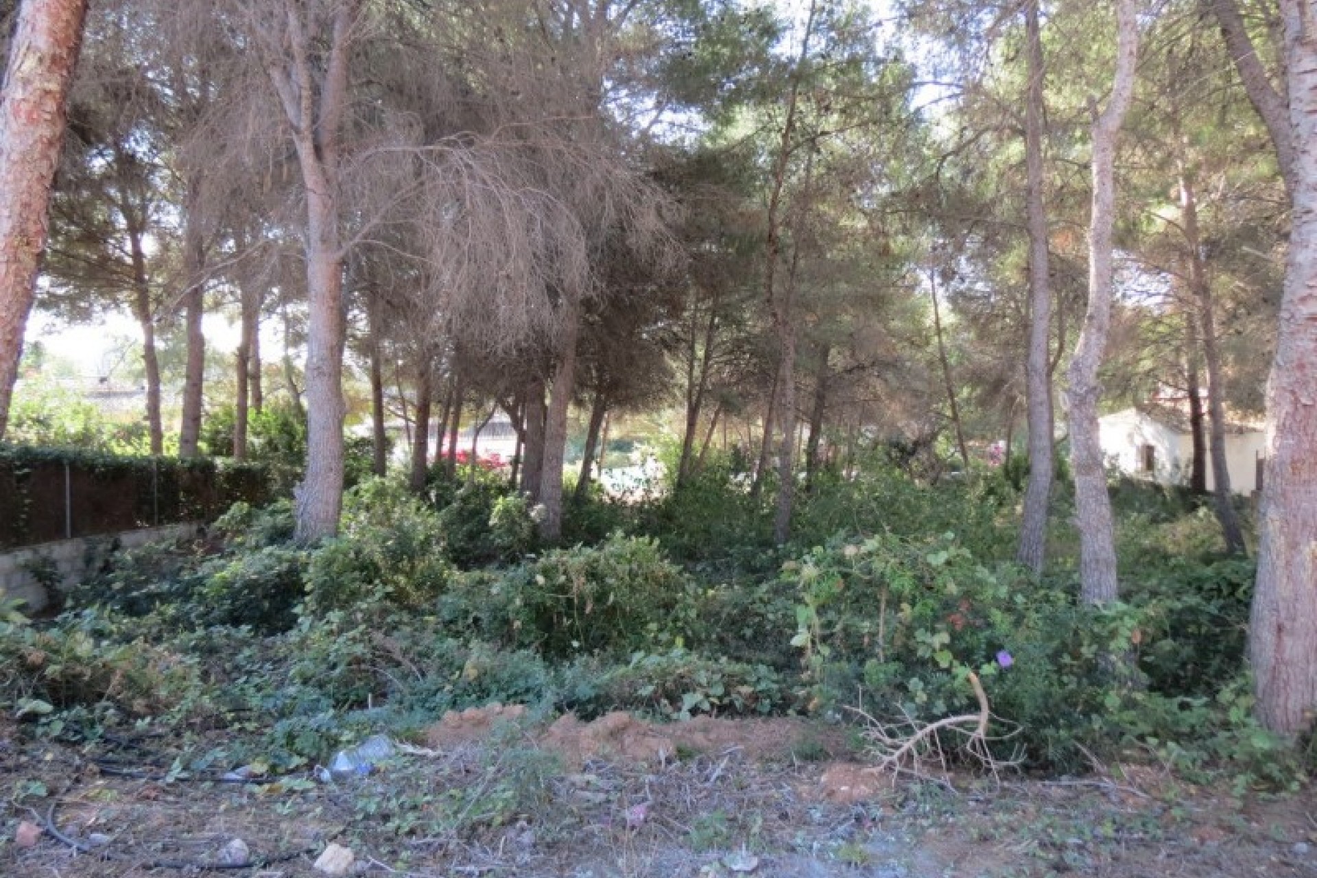 Sale - Plot/Land -
Moraira - Pla de Mar