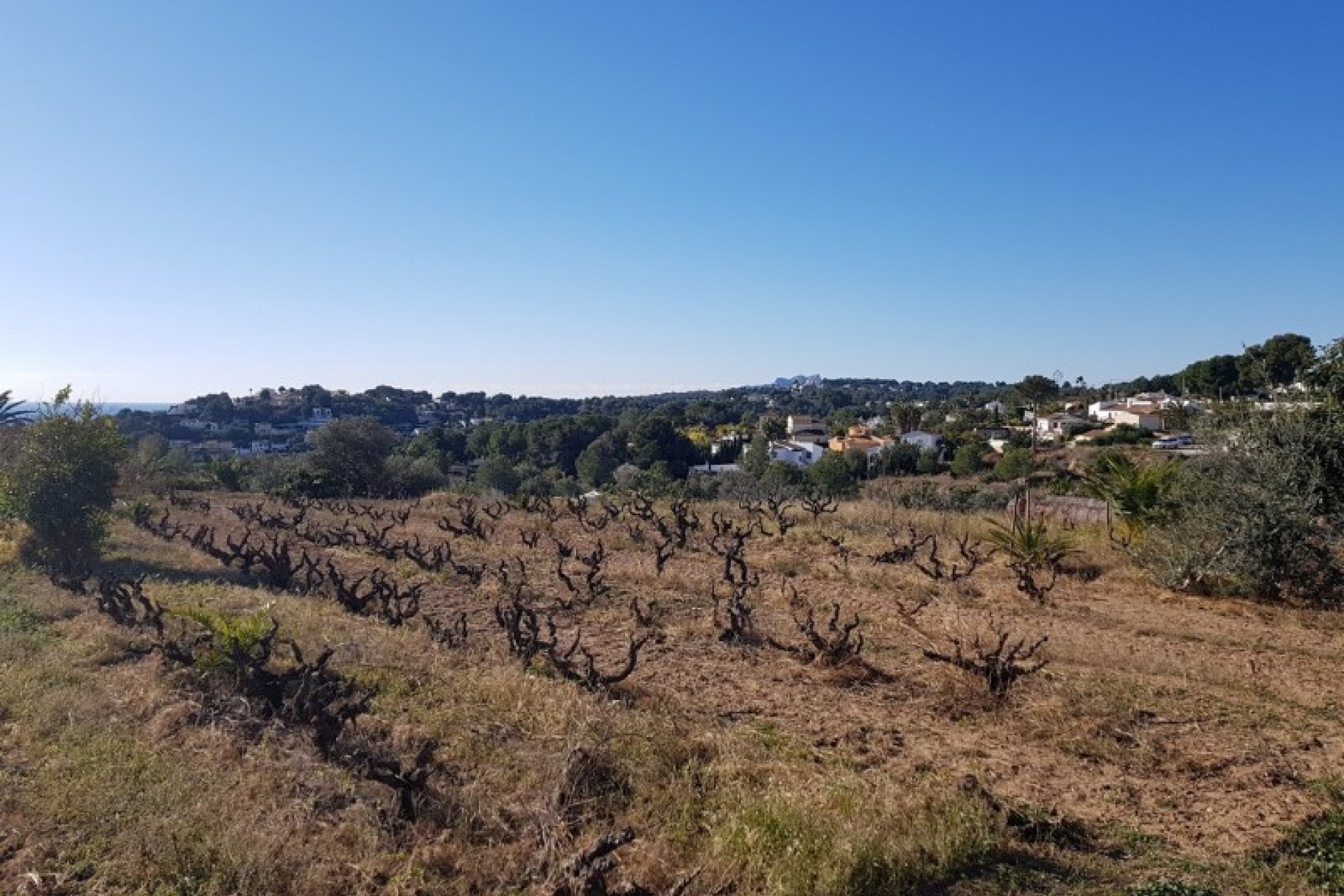 Sale - Plot/Land -
Moraira - Sabatera