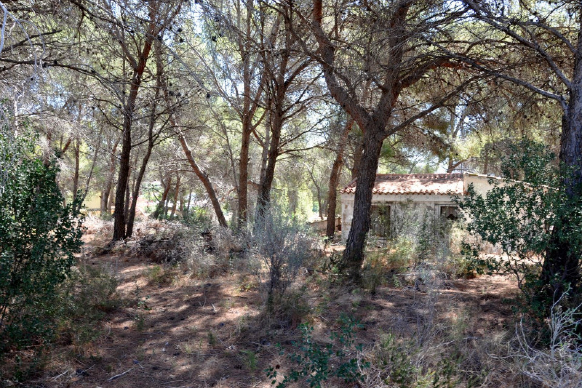 Sale - Plot/Land -
Moraira
