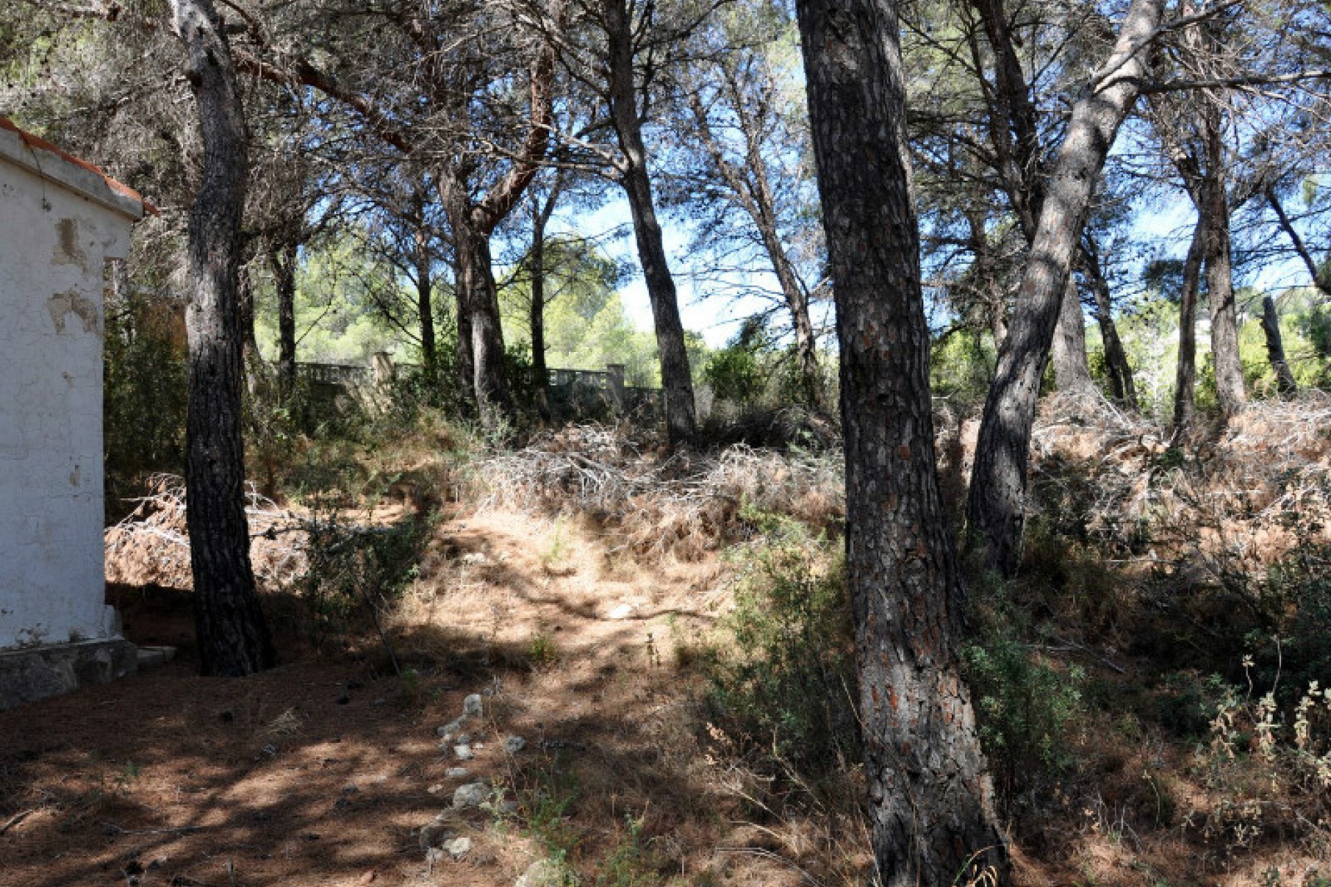 Sale - Plot/Land -
Moraira