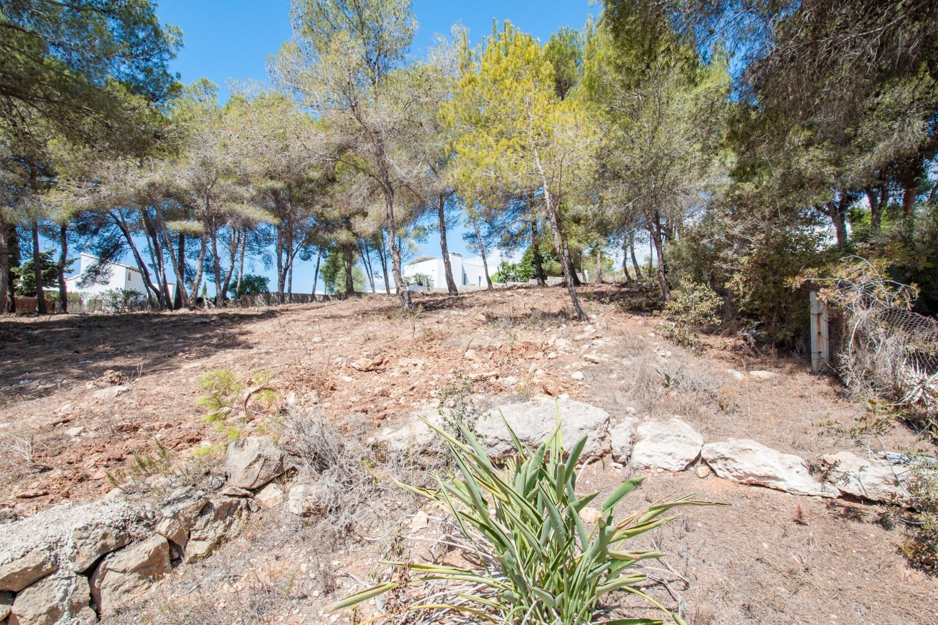 Sale - Plot/Land -
Moraira