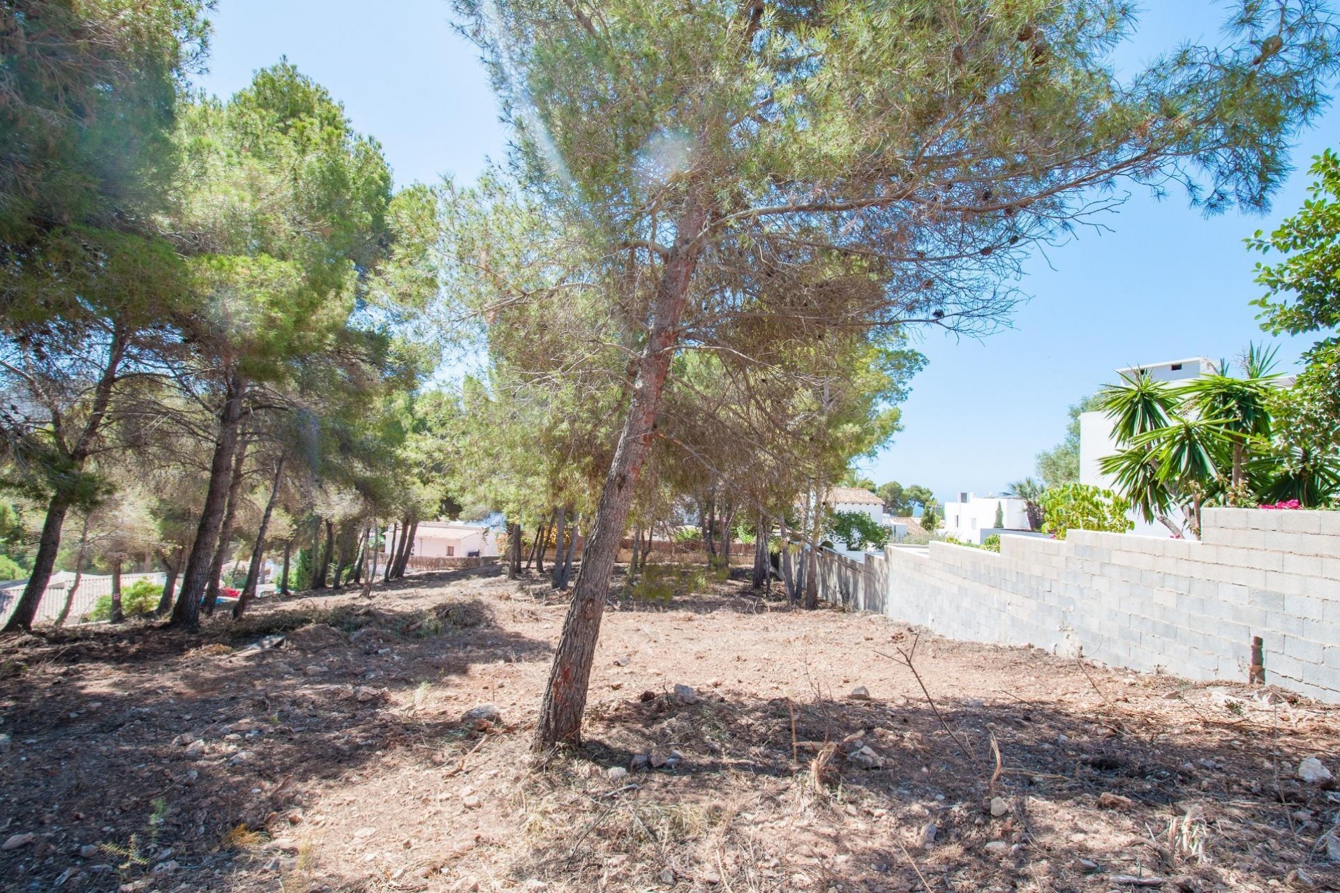 Sale - Plot/Land -
Moraira