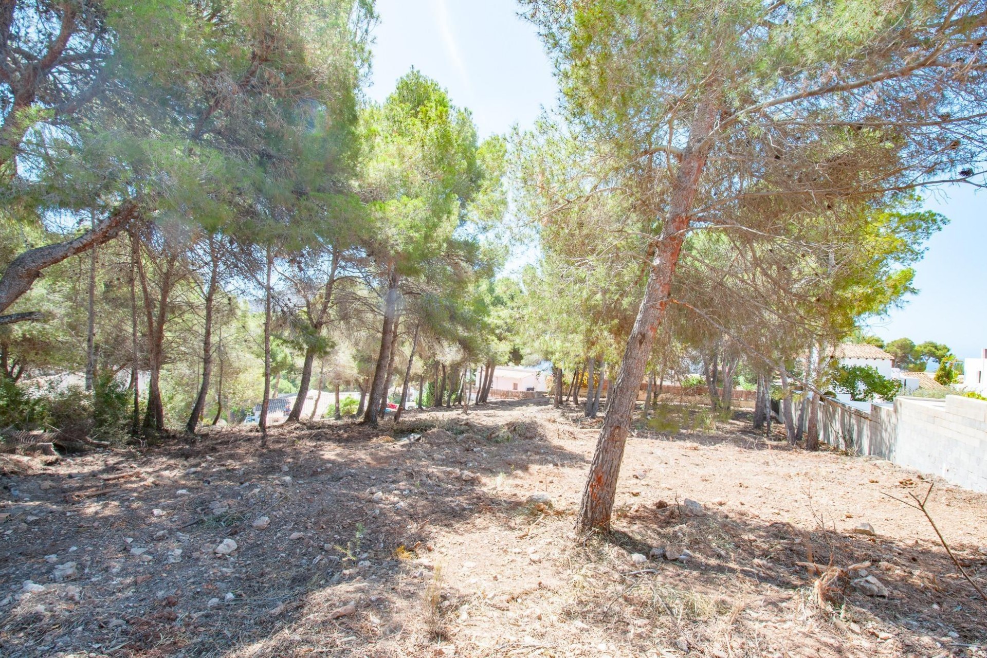 Sale - Plot/Land -
Moraira