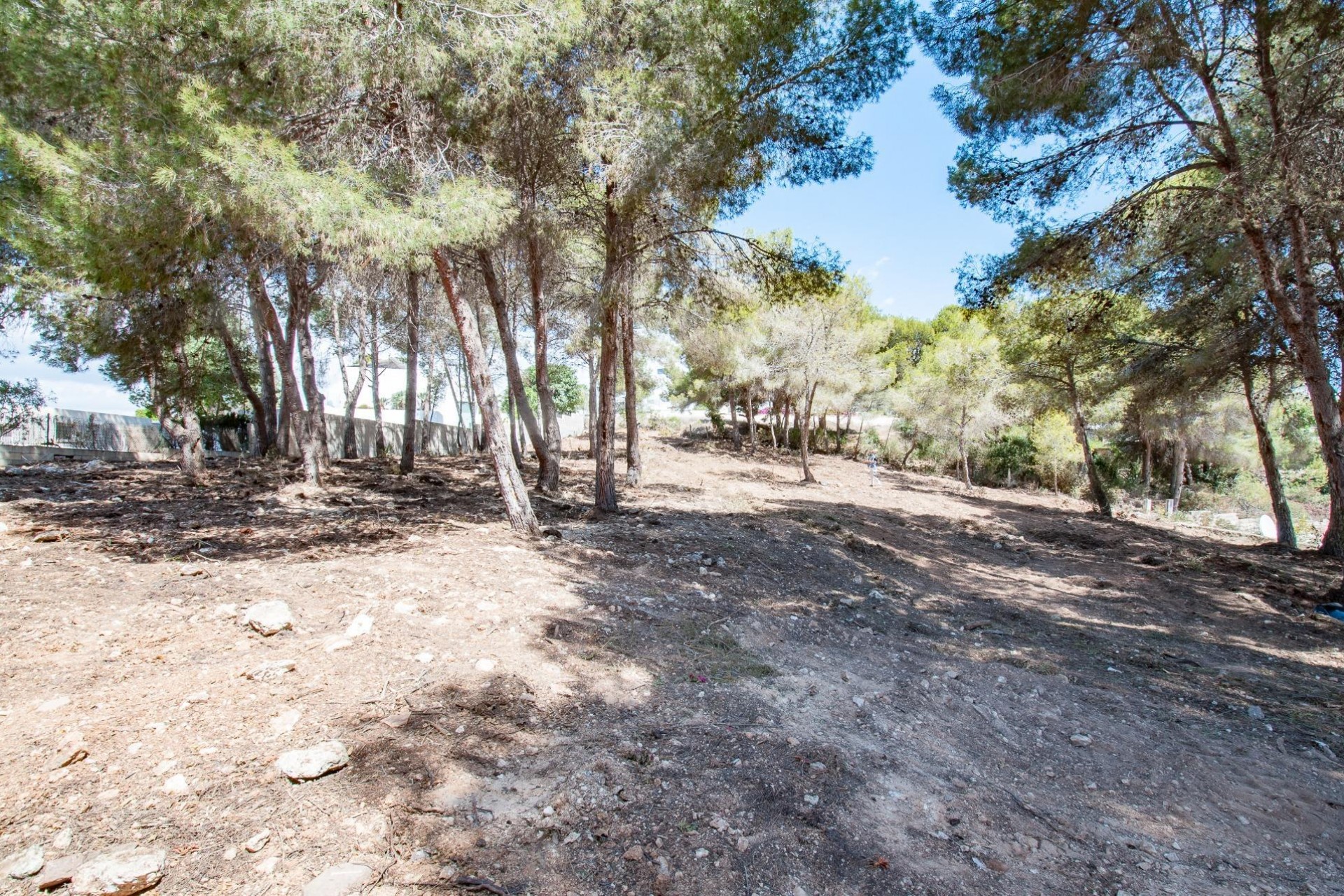 Sale - Plot/Land -
Moraira