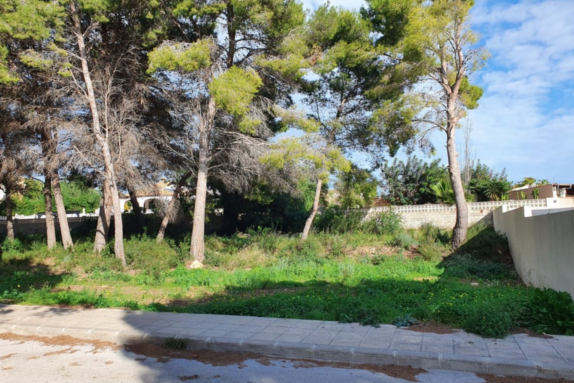 Sale - Plot/Land -
Moraira
