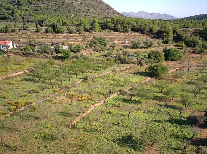 Sale - Plot/Land -
Murla