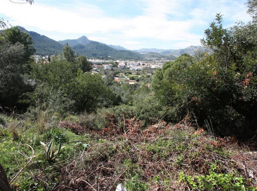 Sale - Plot/Land -
Orba - Periferia