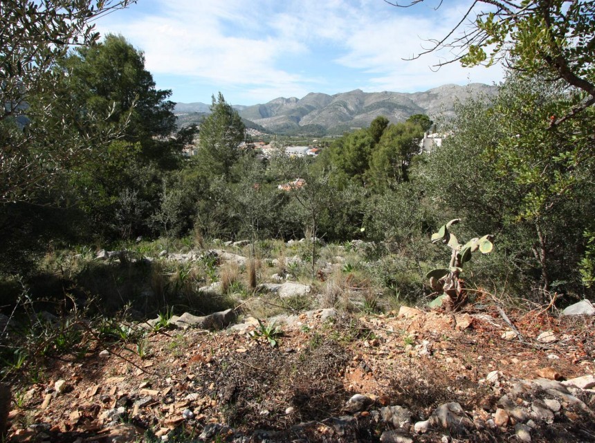 Sale - Plot/Land -
Orba - Periferia