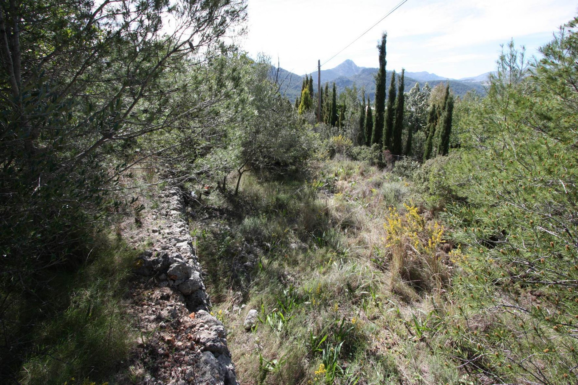 Sale - Plot/Land -
Orba - Periferia