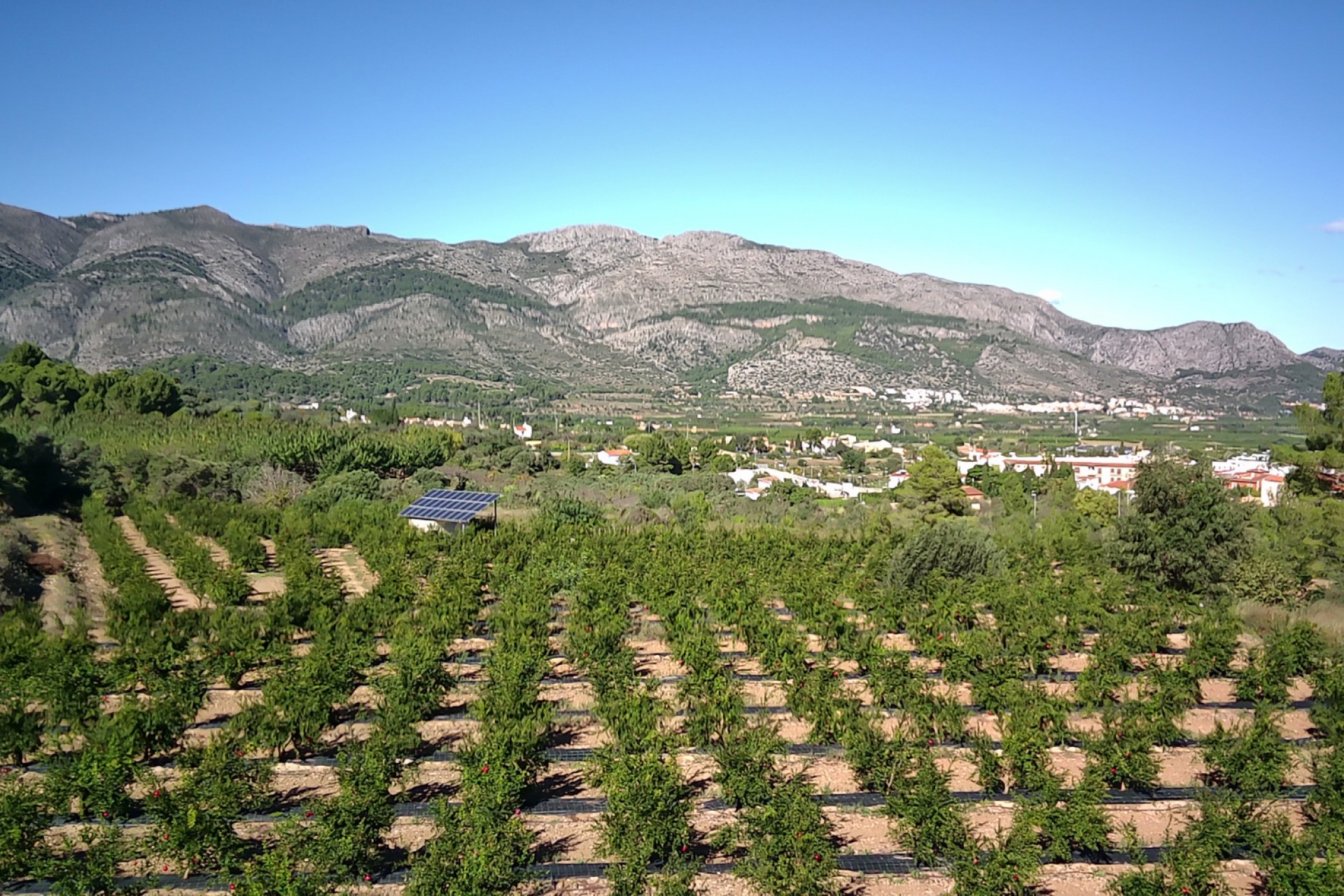 Sale - Plot/Land -
Orba