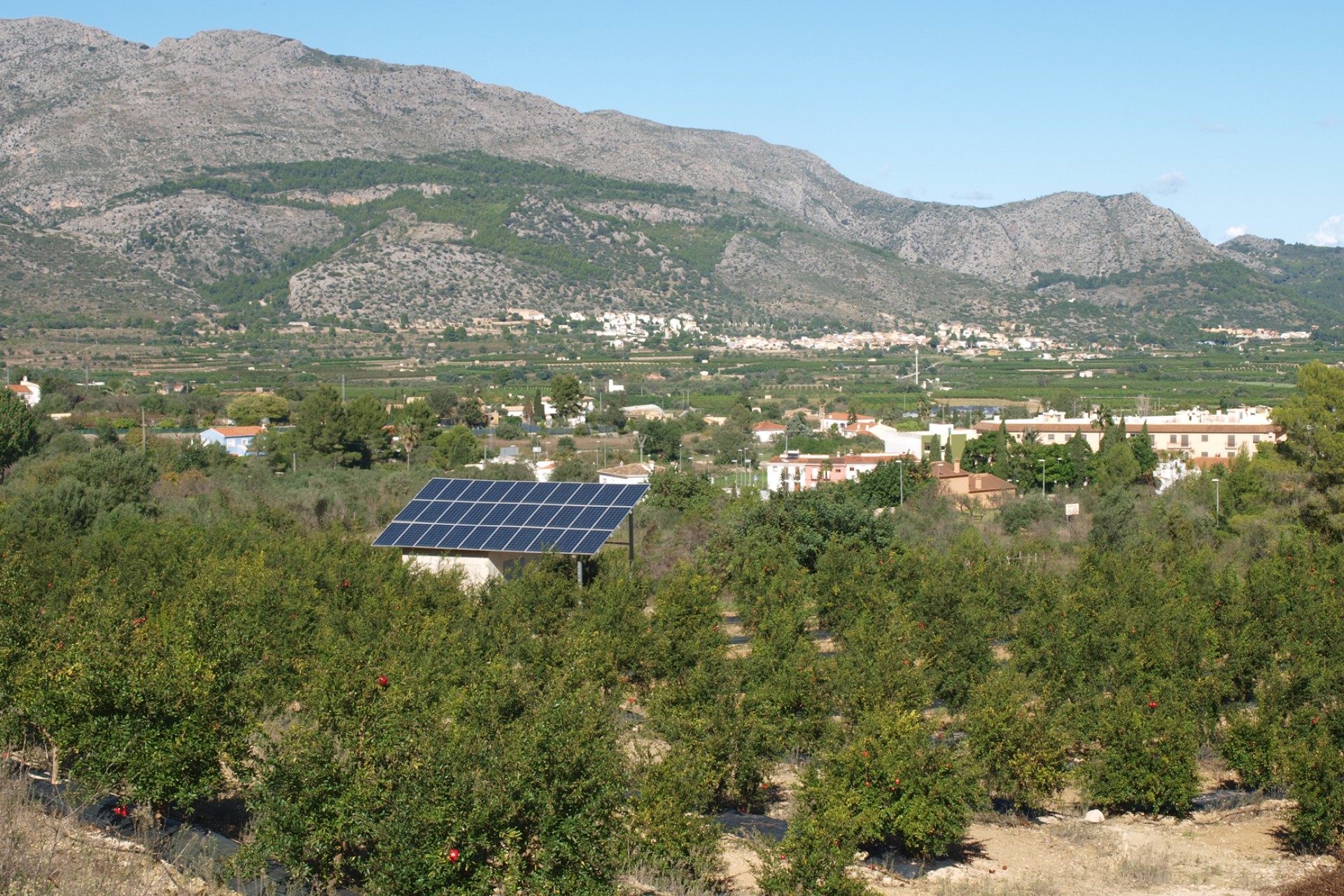 Sale - Plot/Land -
Orba