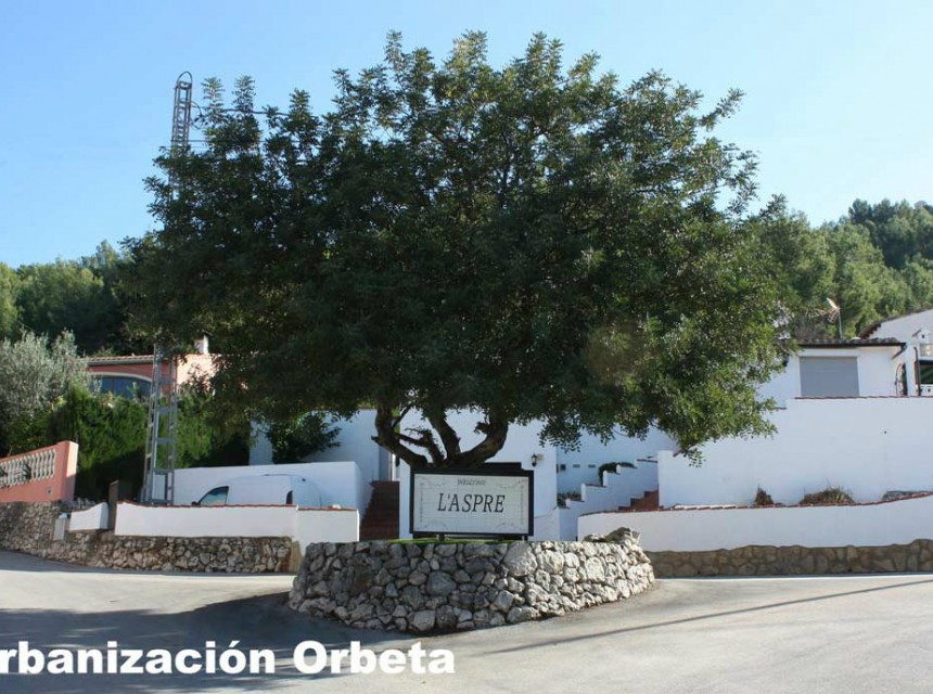 Sale - Plot/Land -
Orba