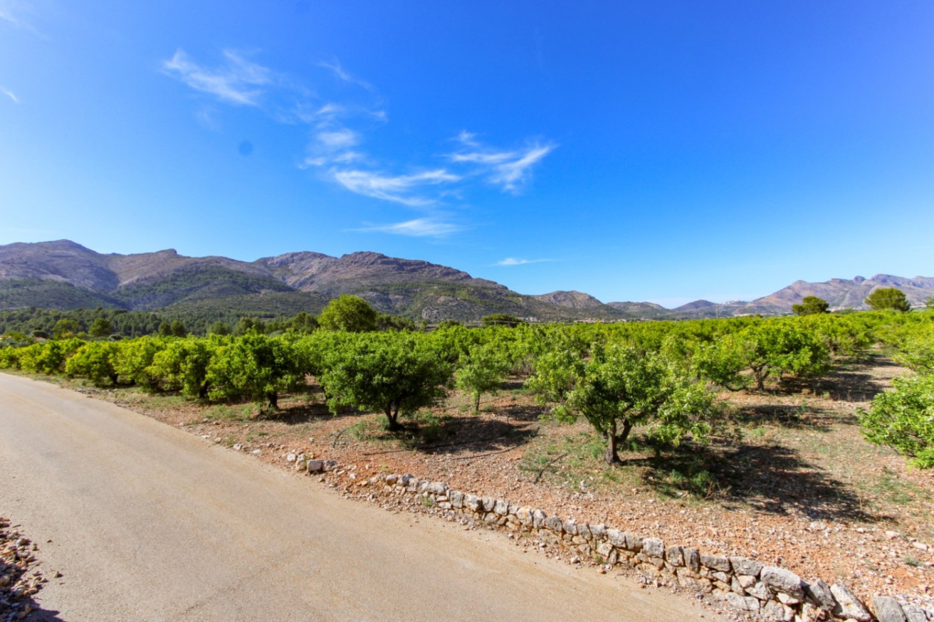Sale - Plot/Land -
Orba