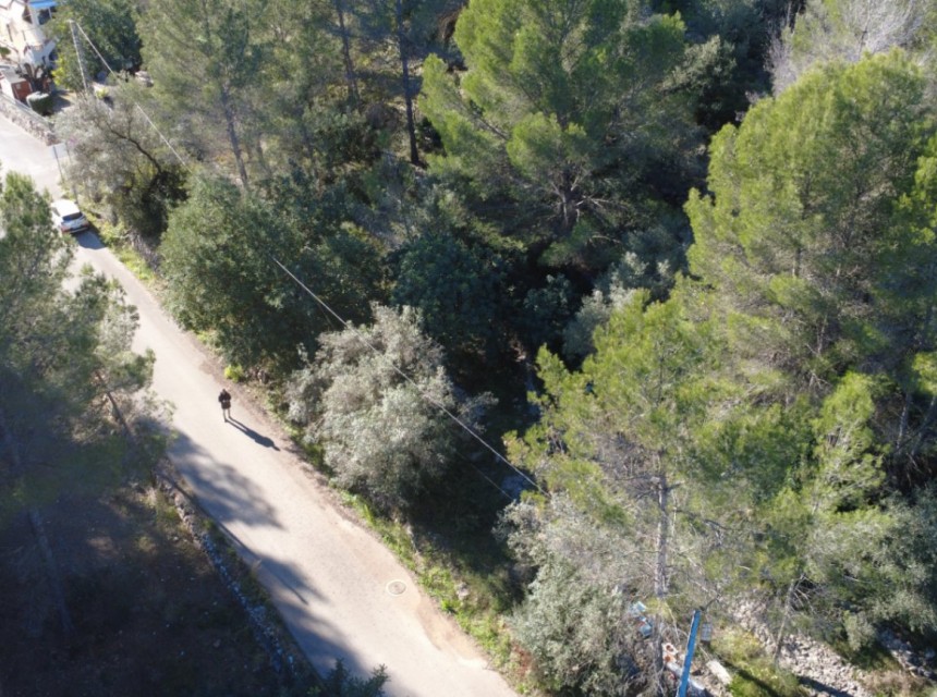 Sale - Plot/Land -
Orba