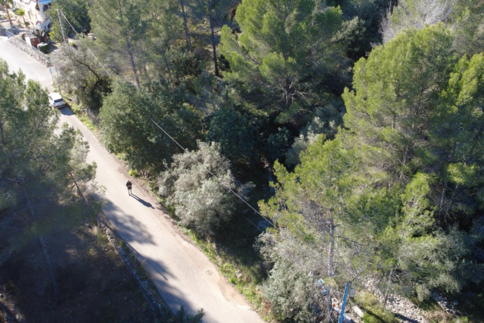 Sale - Plot/Land -
Orba