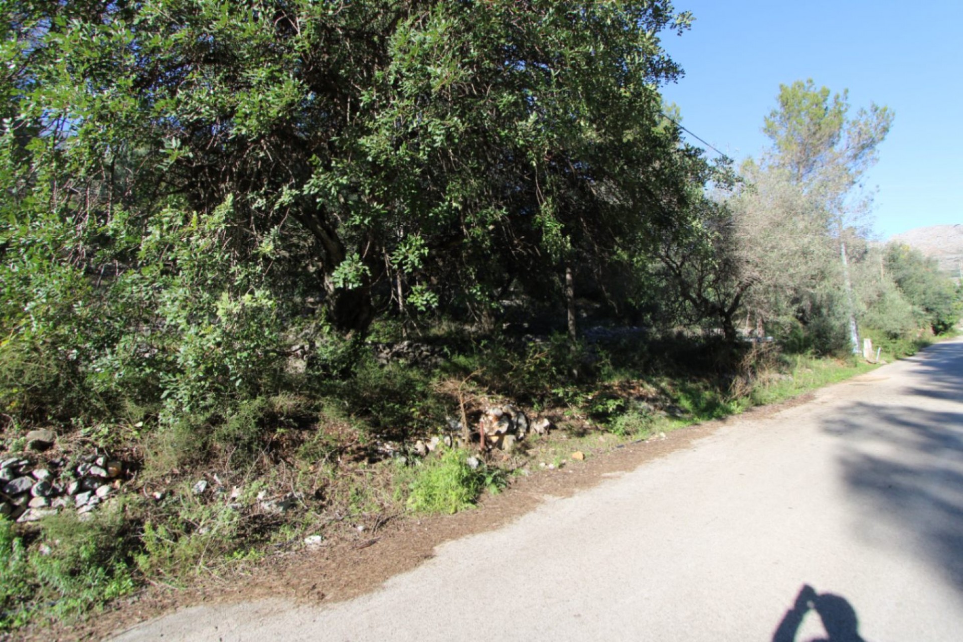 Sale - Plot/Land -
Orba