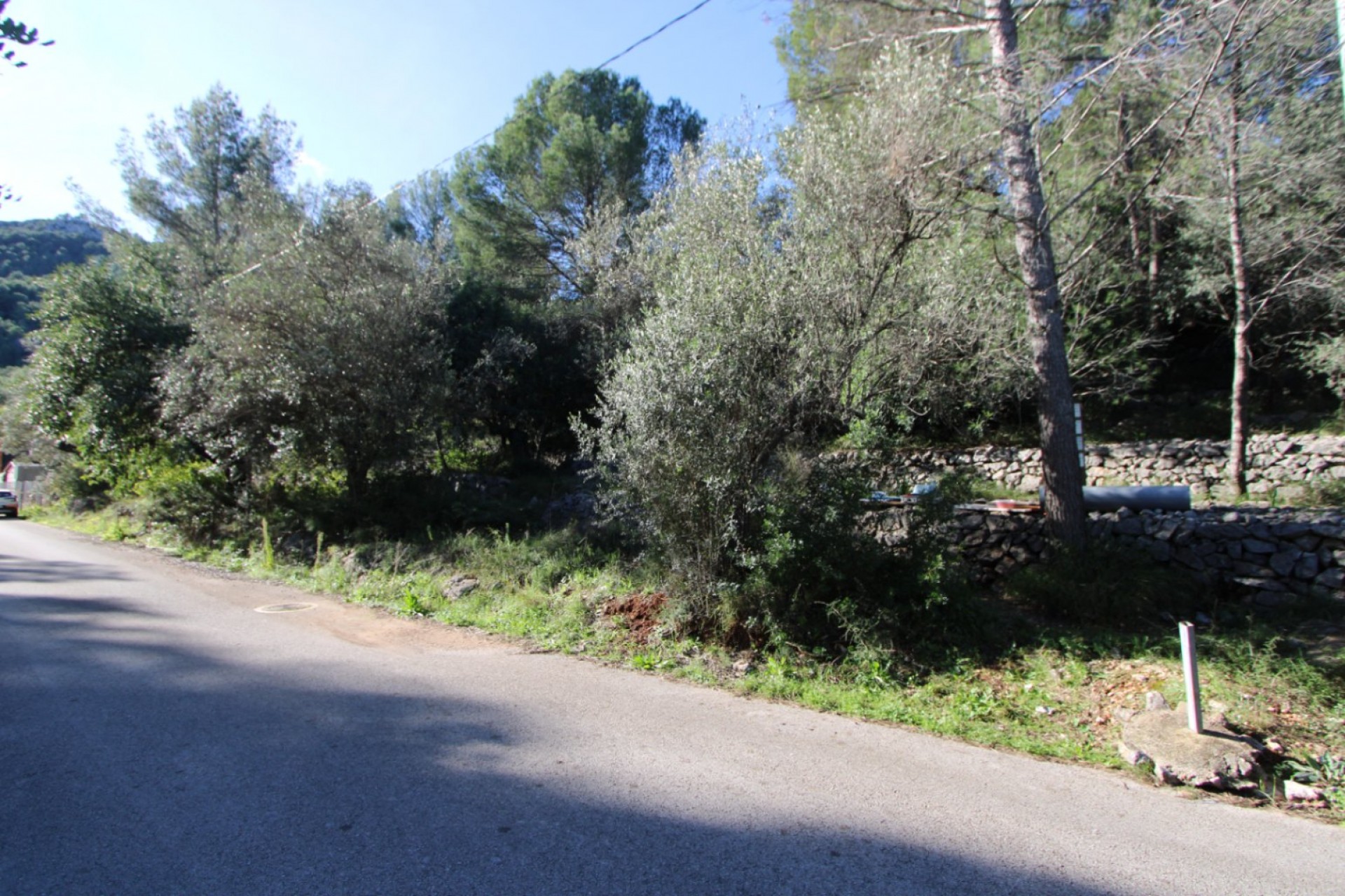 Sale - Plot/Land -
Orba