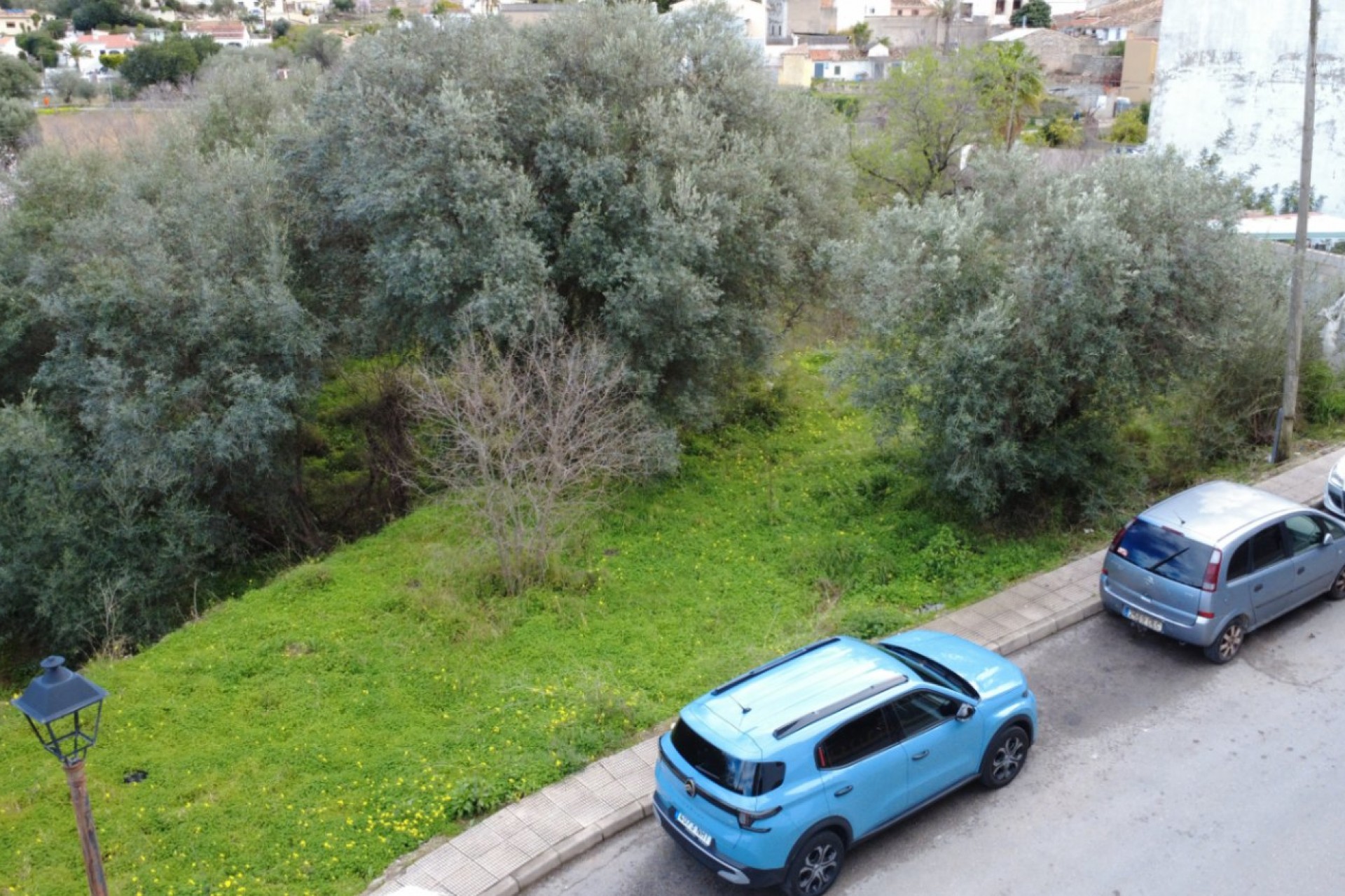 Sale - Plot/Land -
Orba