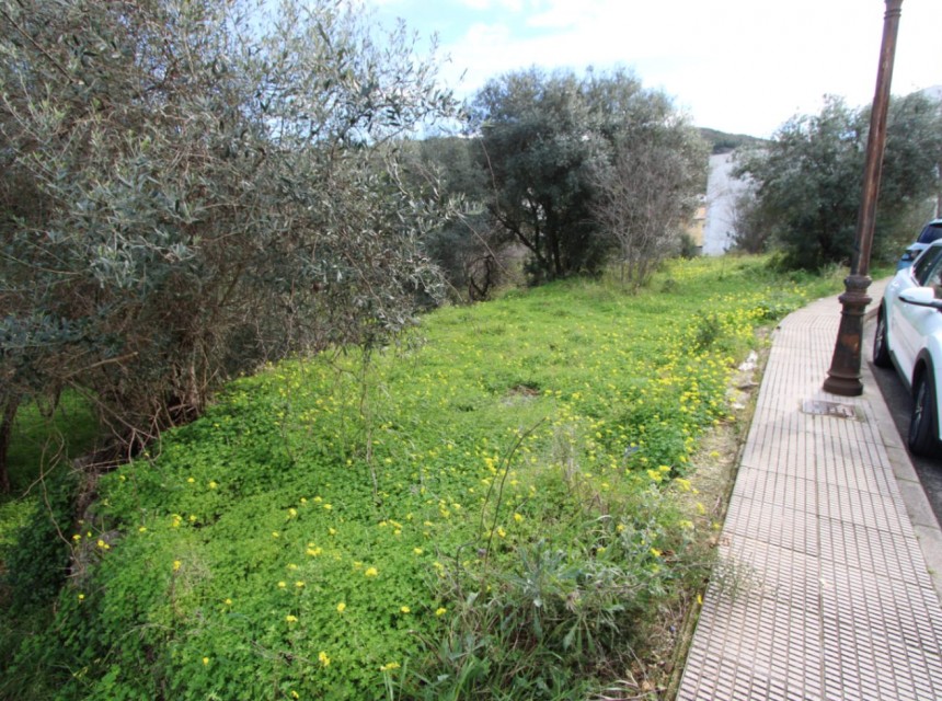 Sale - Plot/Land -
Orba