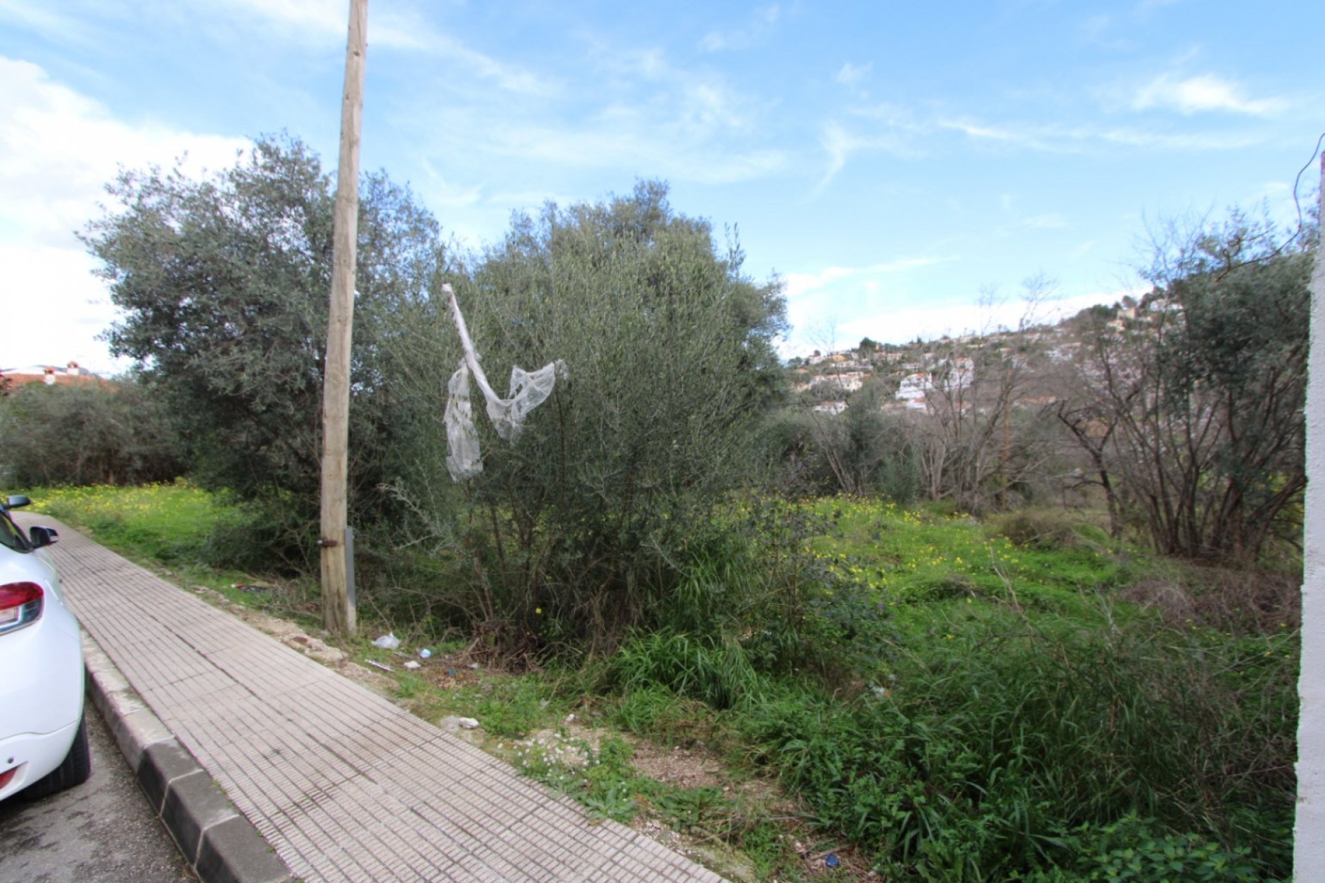 Sale - Plot/Land -
Orba