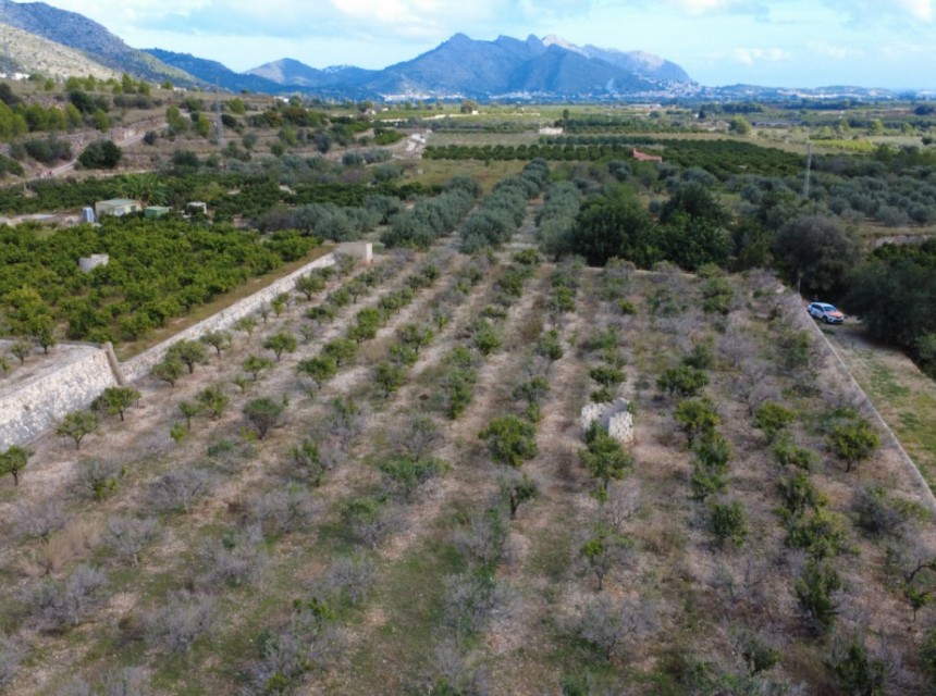 Sale - Plot/Land -
Orba