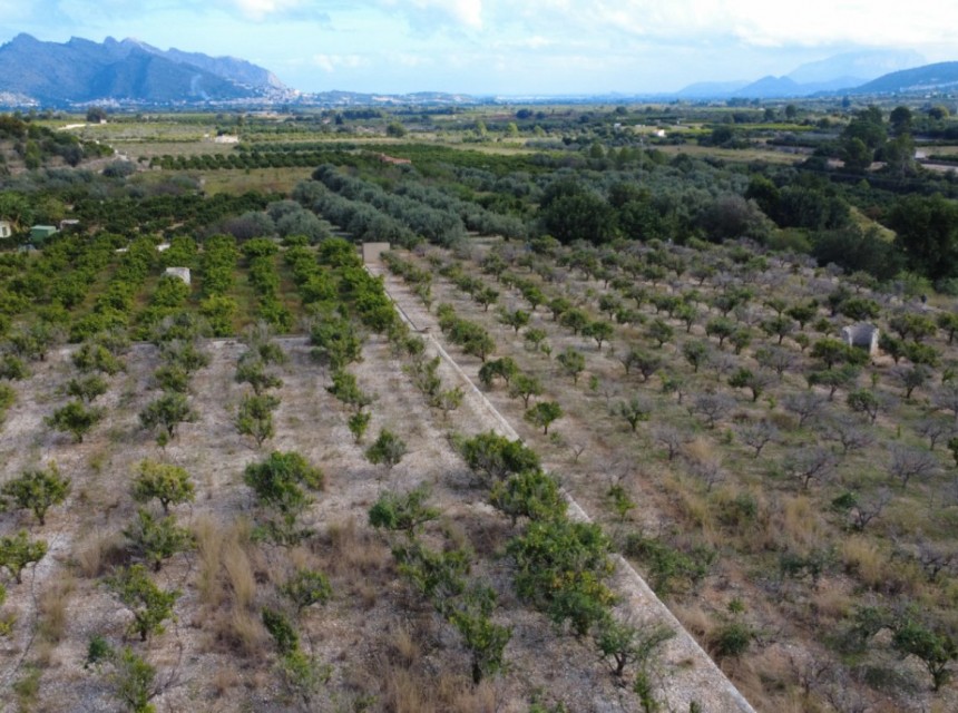 Sale - Plot/Land -
Orba