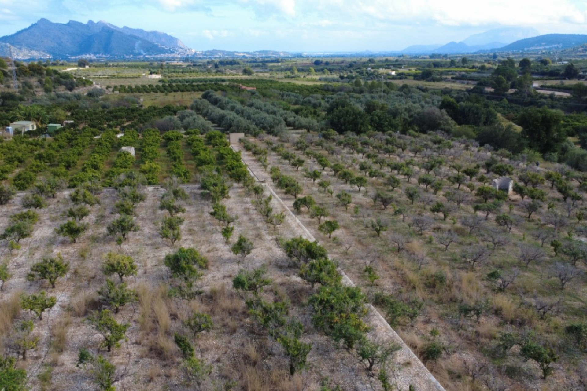 Sale - Plot/Land -
Orba
