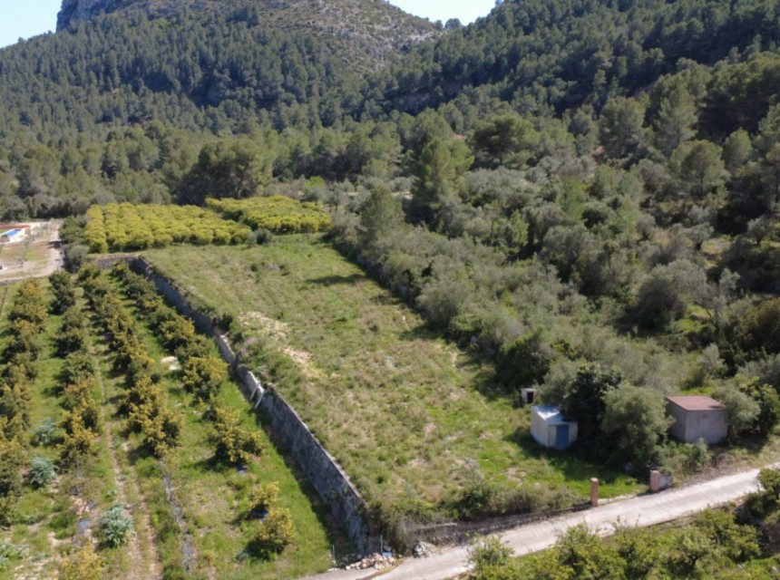 Sale - Plot/Land -
Orba