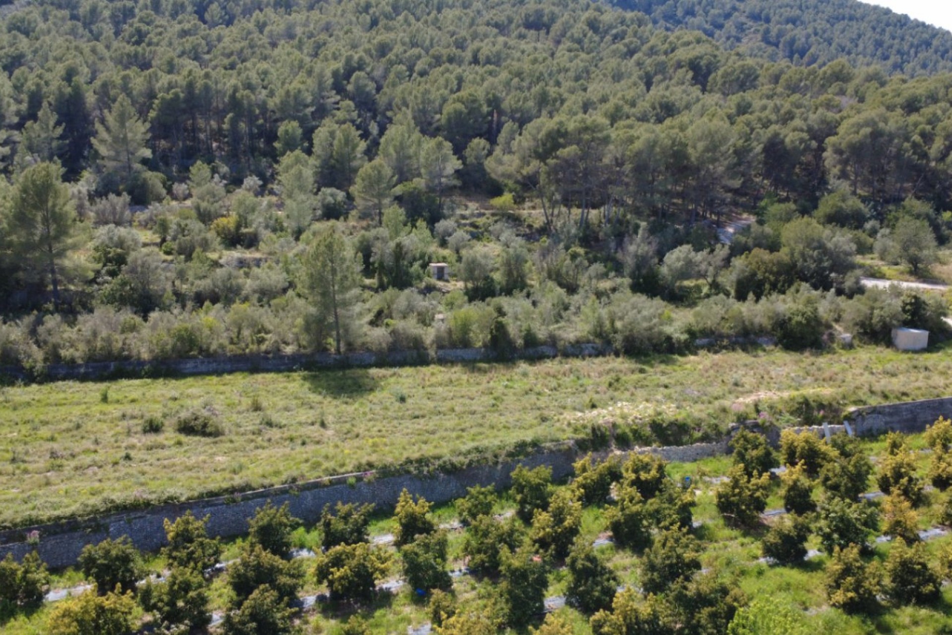 Sale - Plot/Land -
Orba