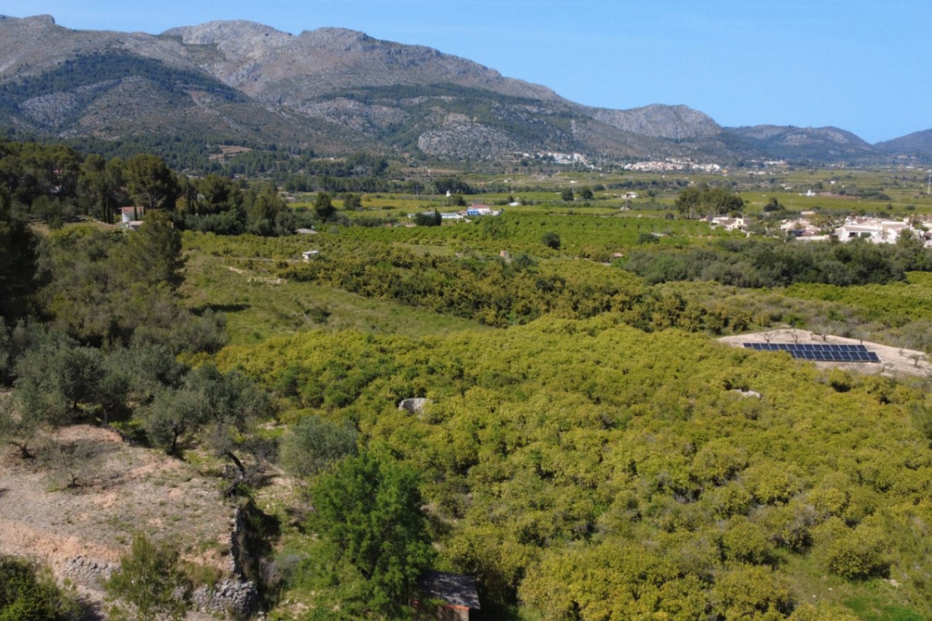 Sale - Plot/Land -
Orba