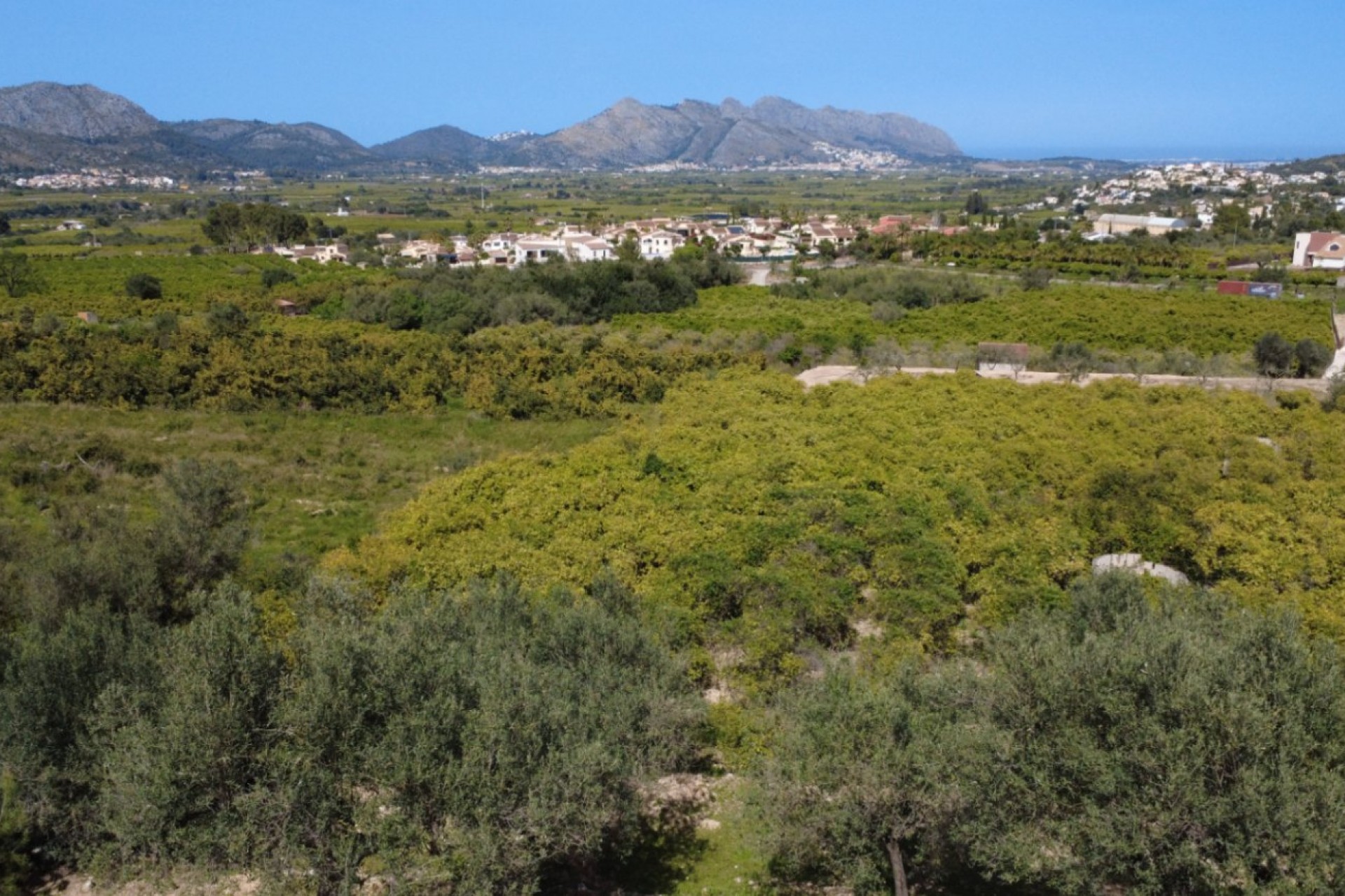 Sale - Plot/Land -
Orba