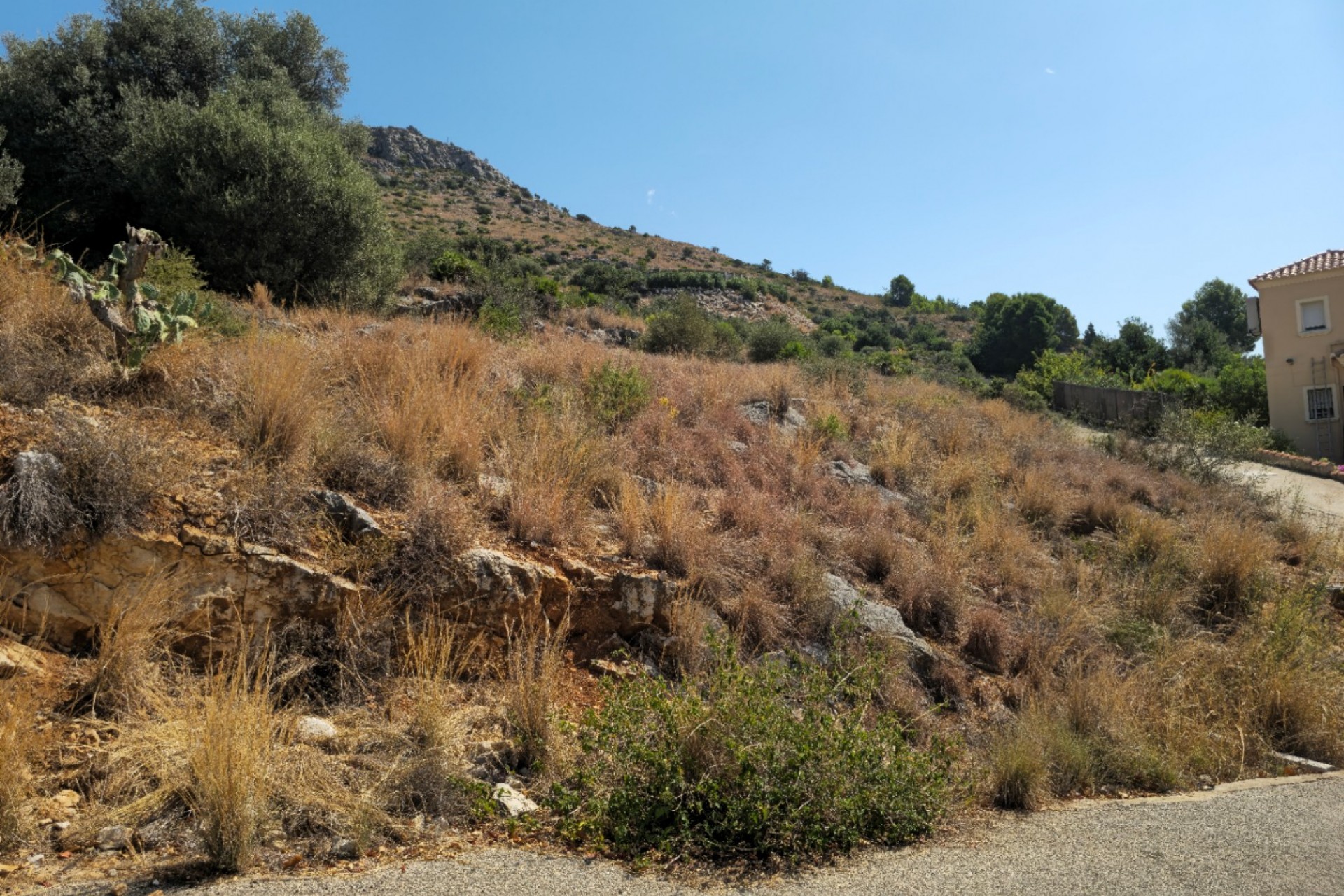 Sale - Plot/Land -
Sanet y Negrals