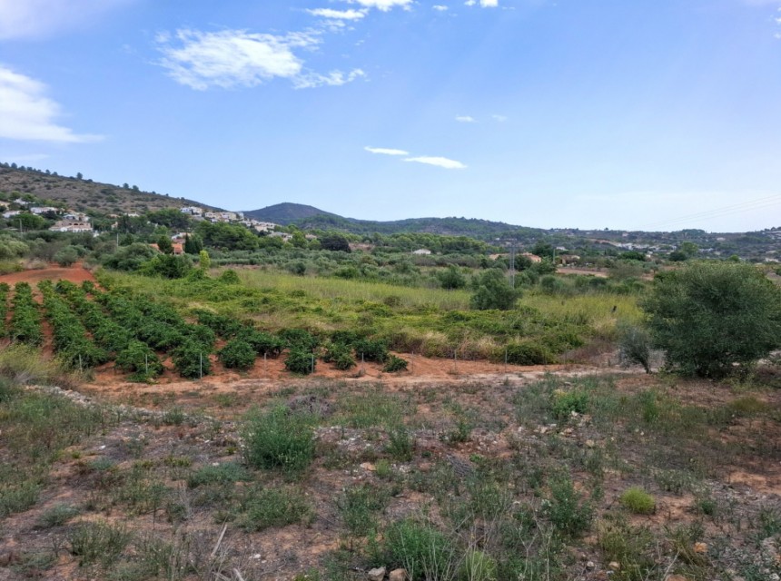 Sale - Plot/Land -
Senija