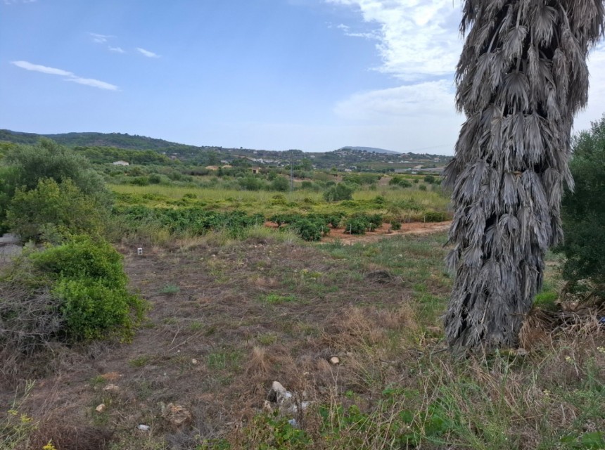 Sale - Plot/Land -
Senija