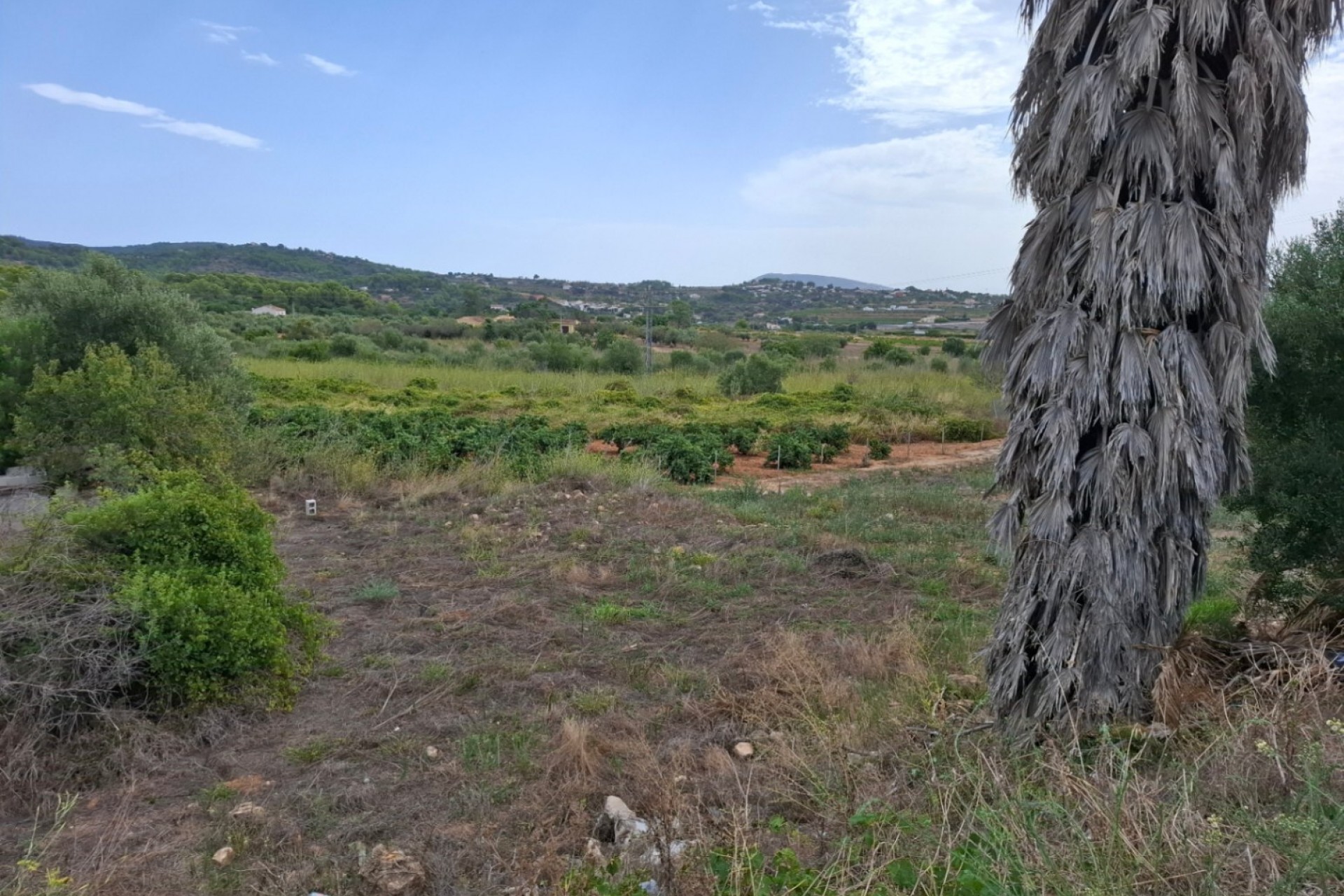Sale - Plot/Land -
Senija