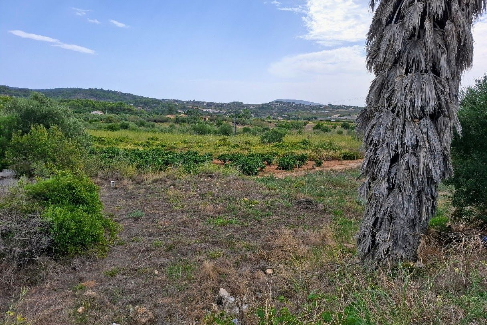 Sale - Plot/Land -
Senija