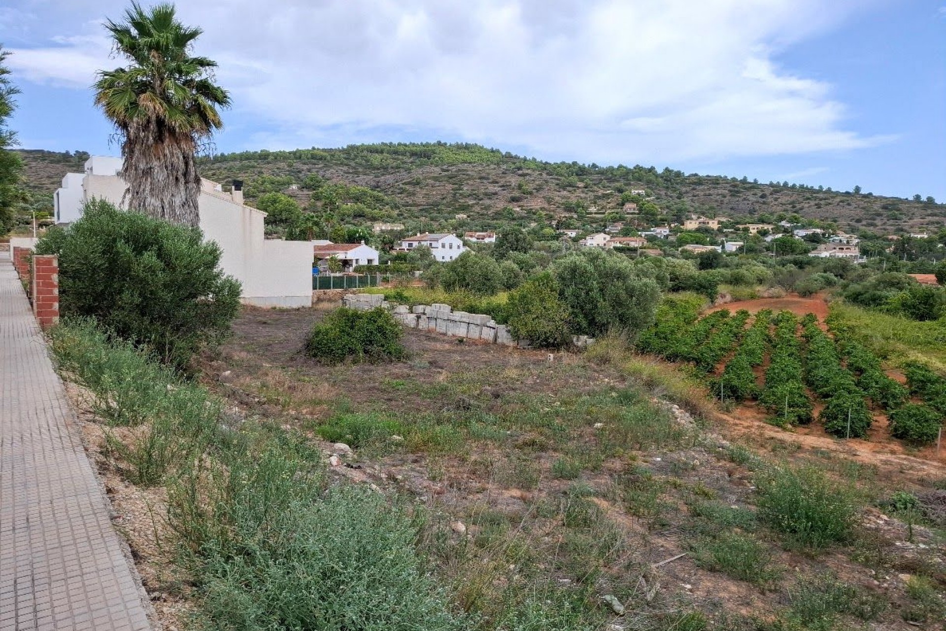 Sale - Plot/Land -
Senija