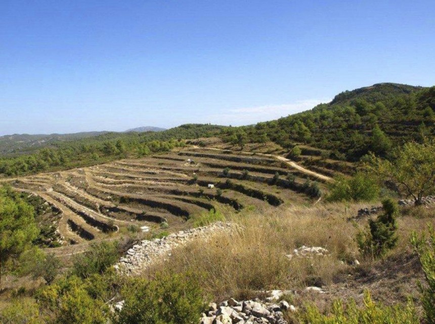 Sale - Plot/Land -
Valle de Alcalá - Periferia