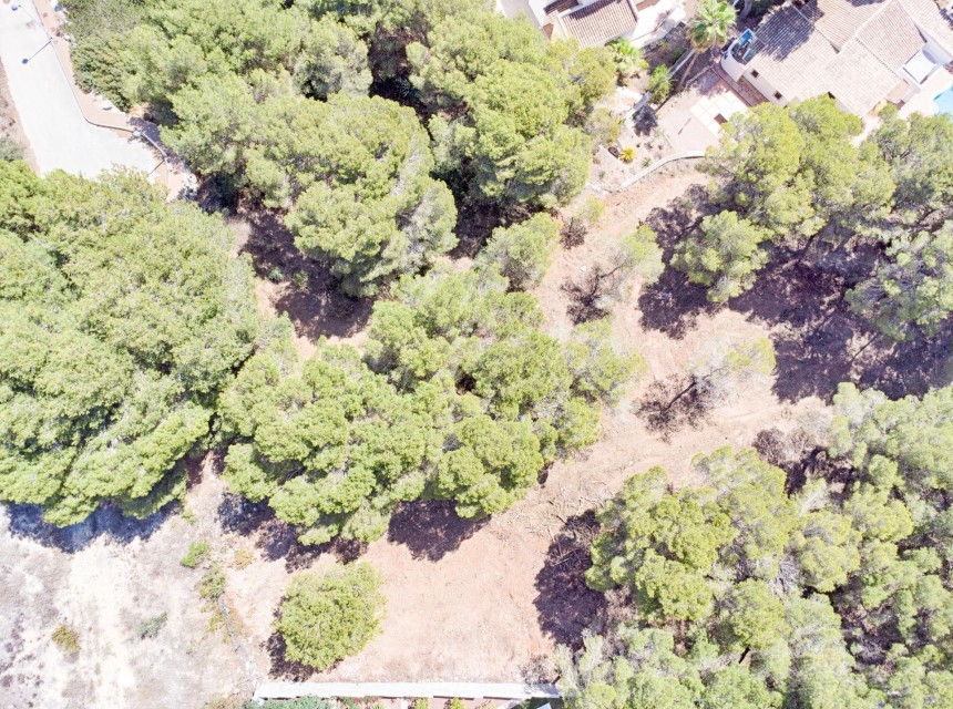 Sale - Plot -
Moraira