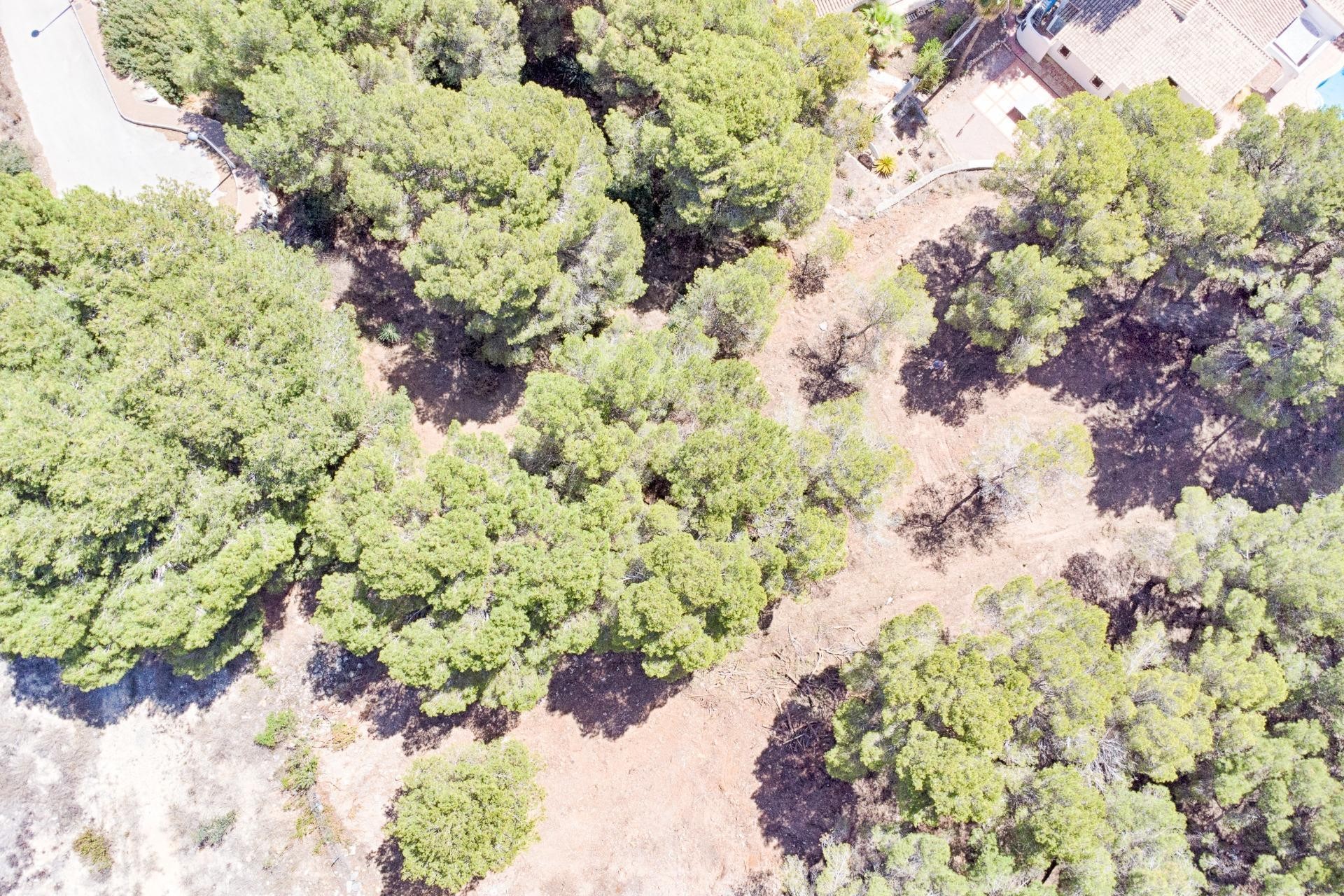 Sale - Plot -
Moraira