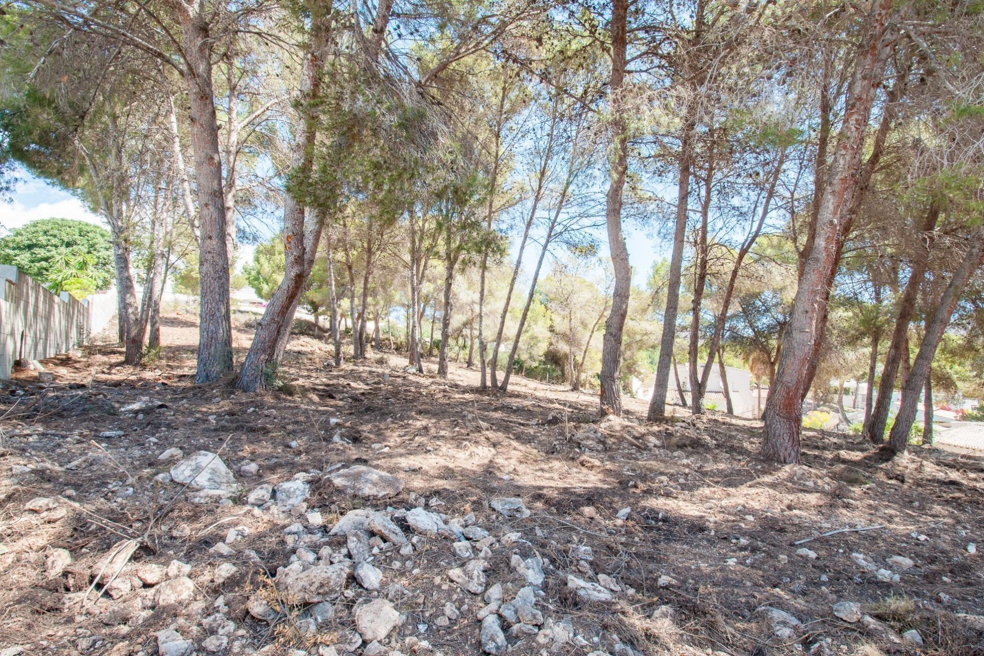 Sale - Plot -
Moraira