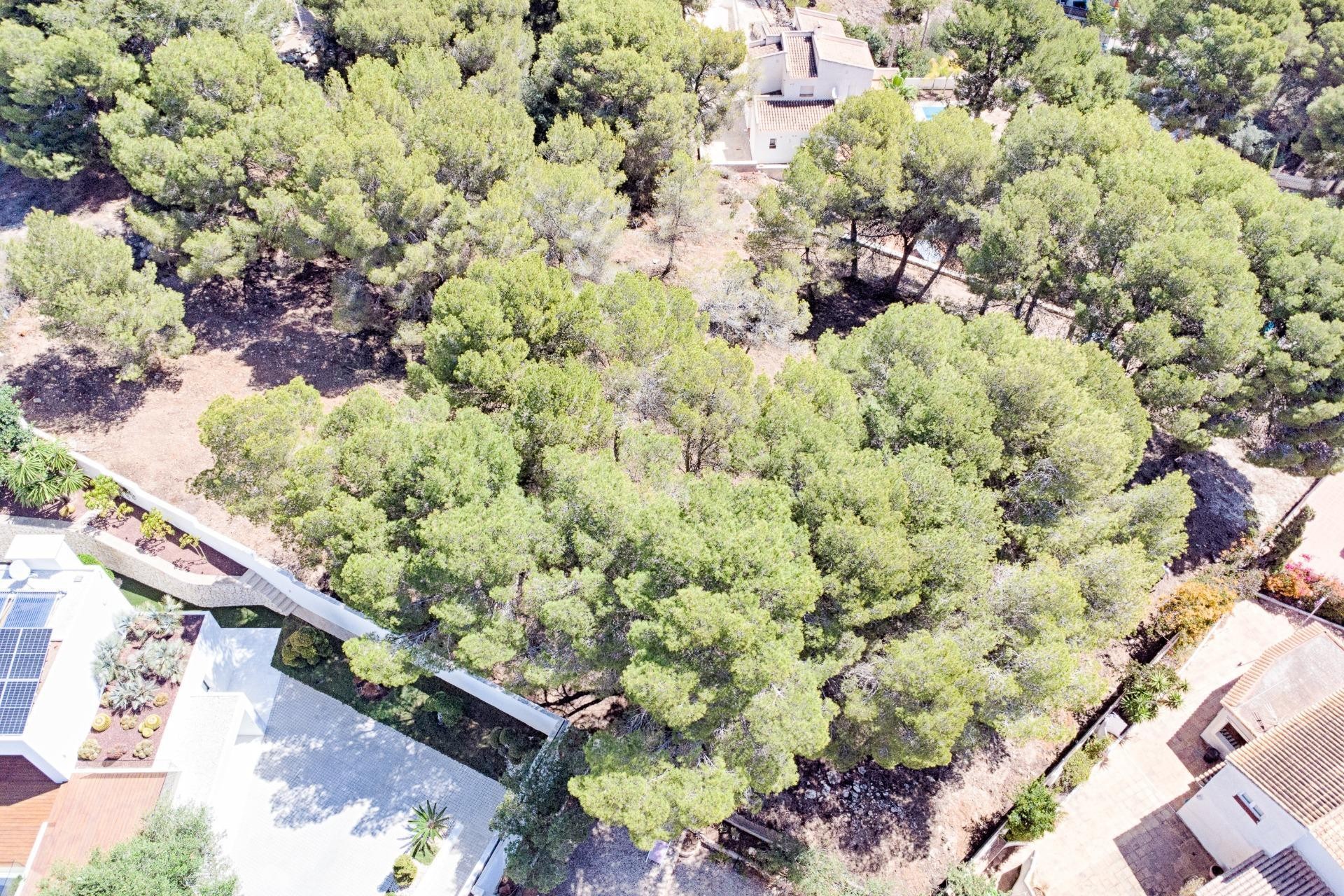 Sale - Plot -
Moraira