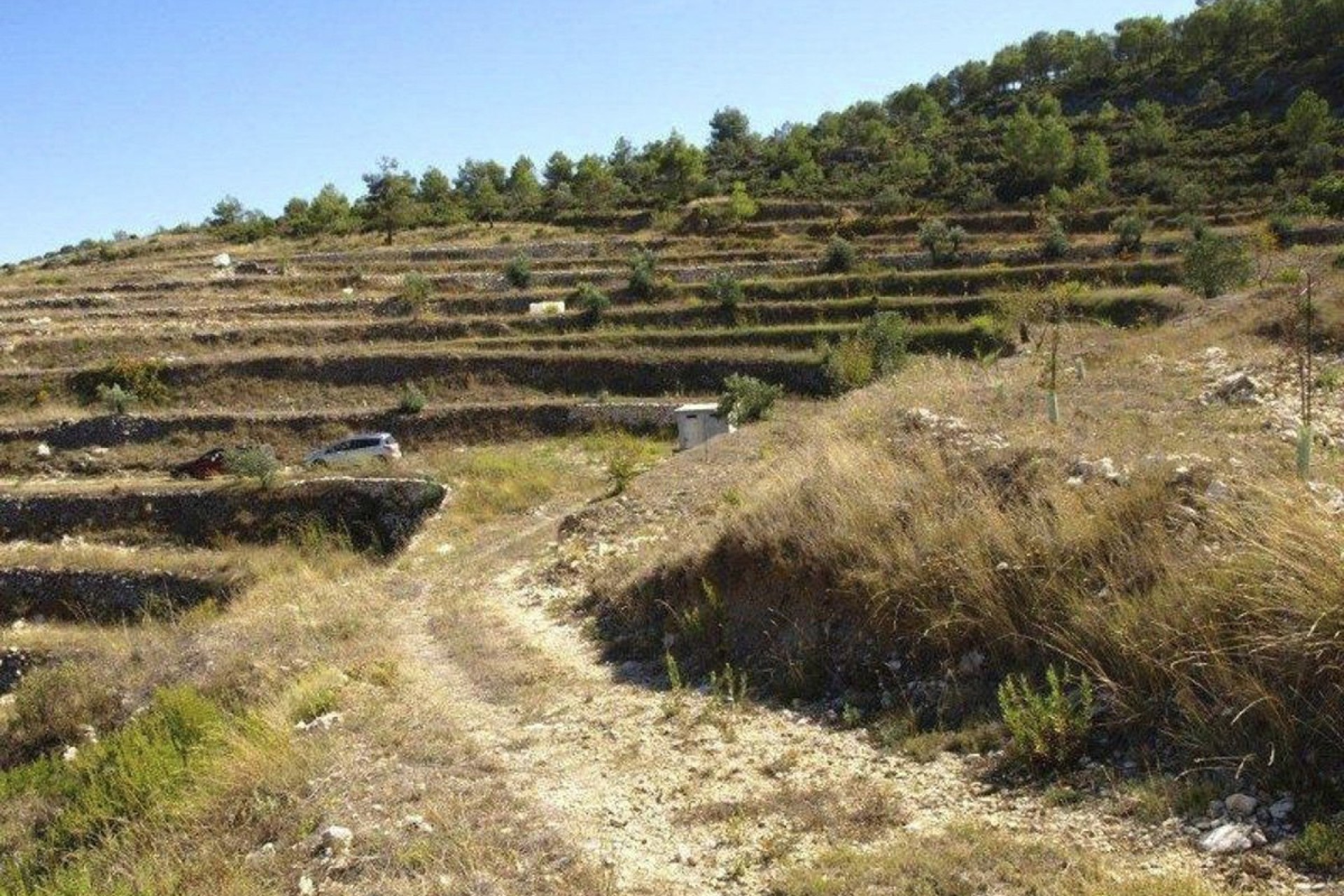 Sale - Plot -
Valle de Alcalá - Periferia