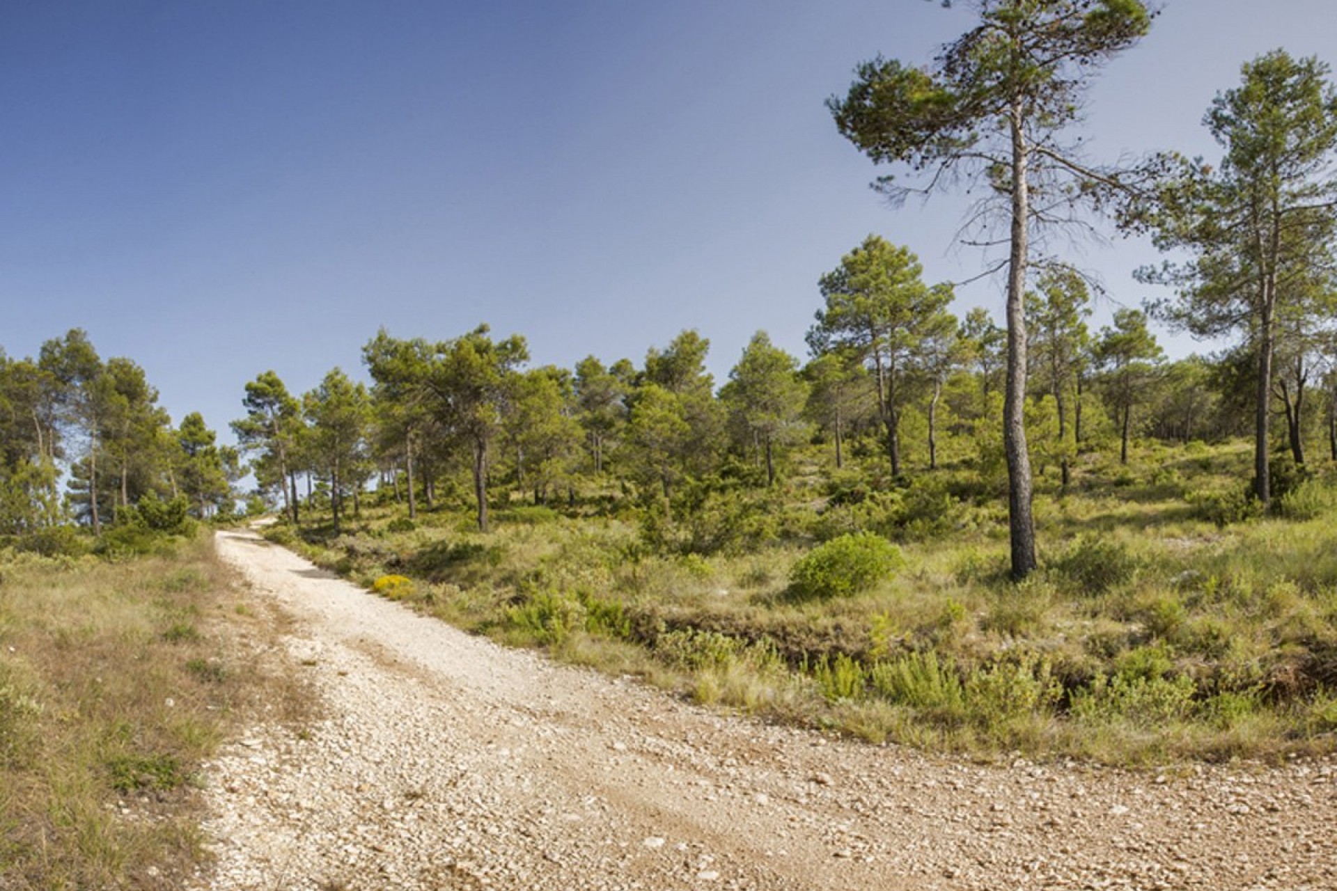 Sale - Plot -
Valle de Alcalá - Periferia