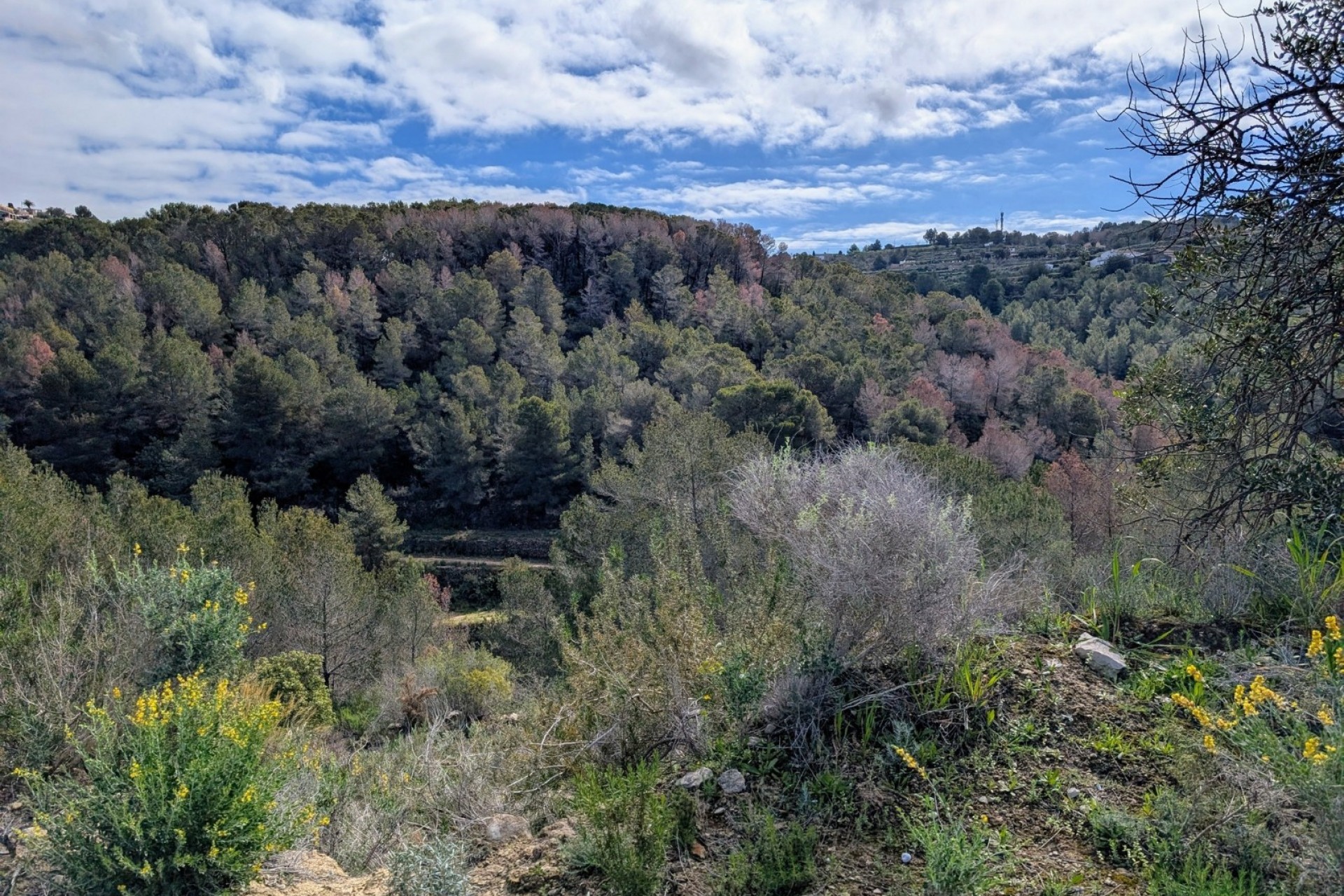 Sale - terrain -
Benissa - Partida Biasner