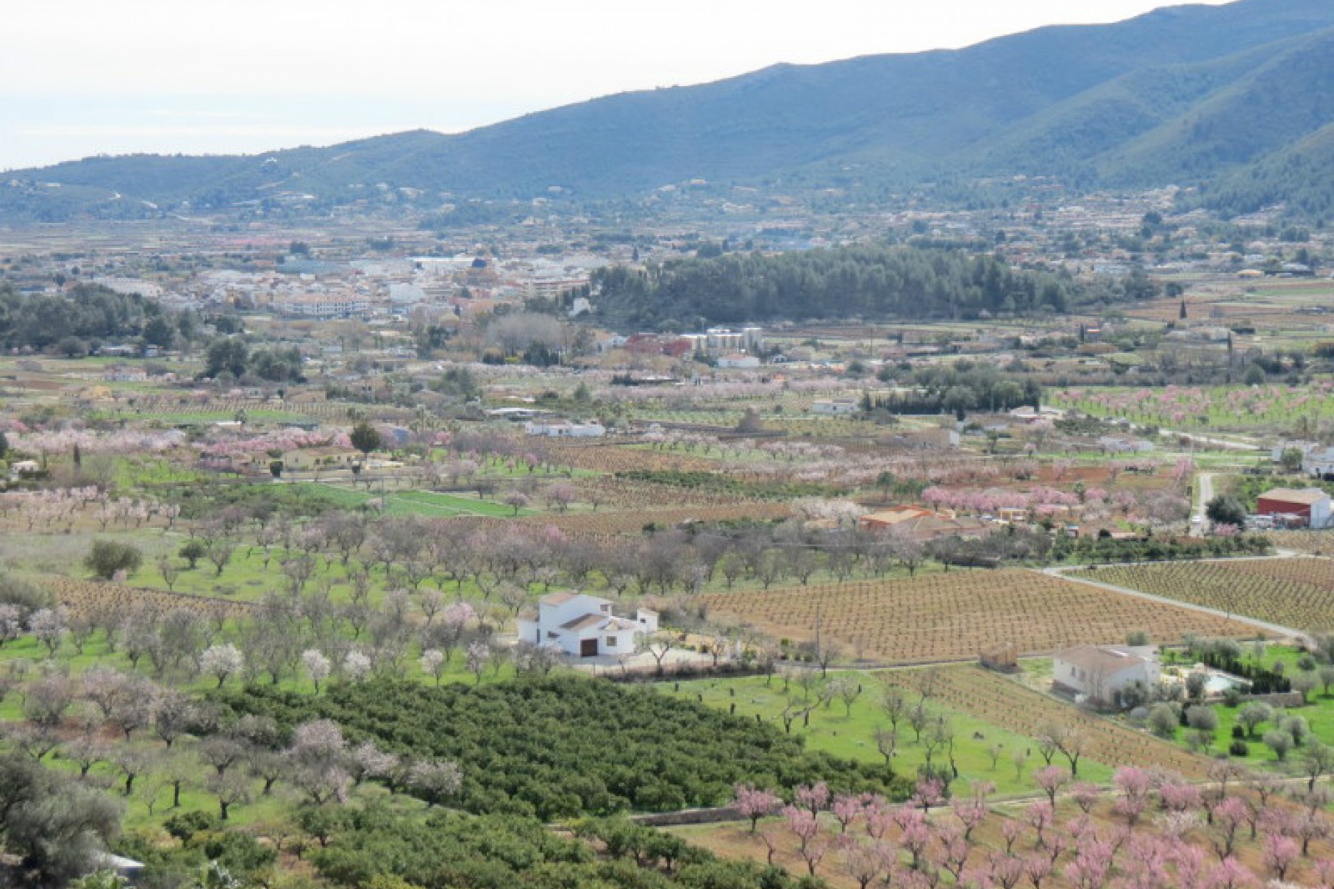 Sale - Townhouse -
Jalon